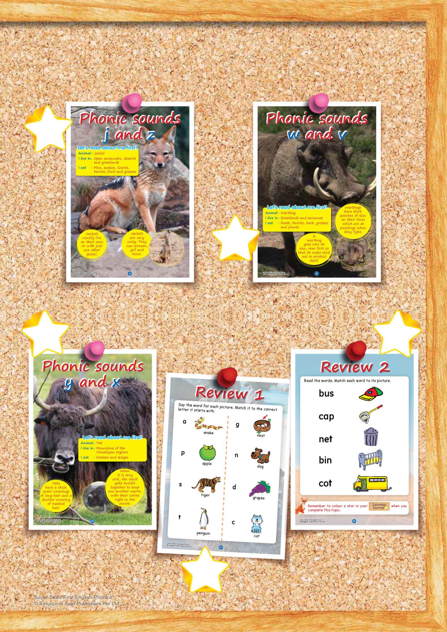 SUPER SKILLS First English PHONICS (Age 3+ Years)