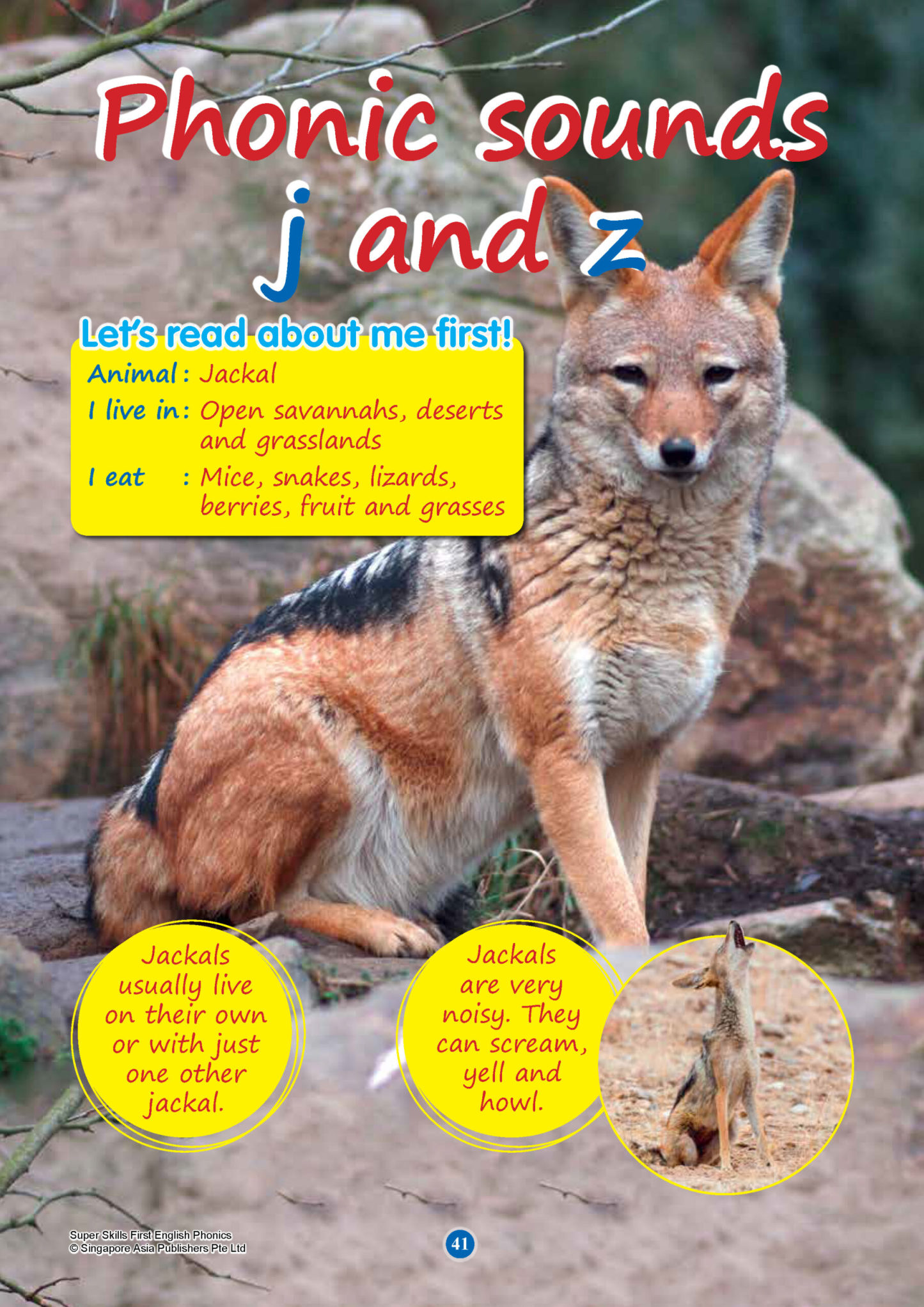 SUPER SKILLS First English PHONICS (Age 3+ Years)