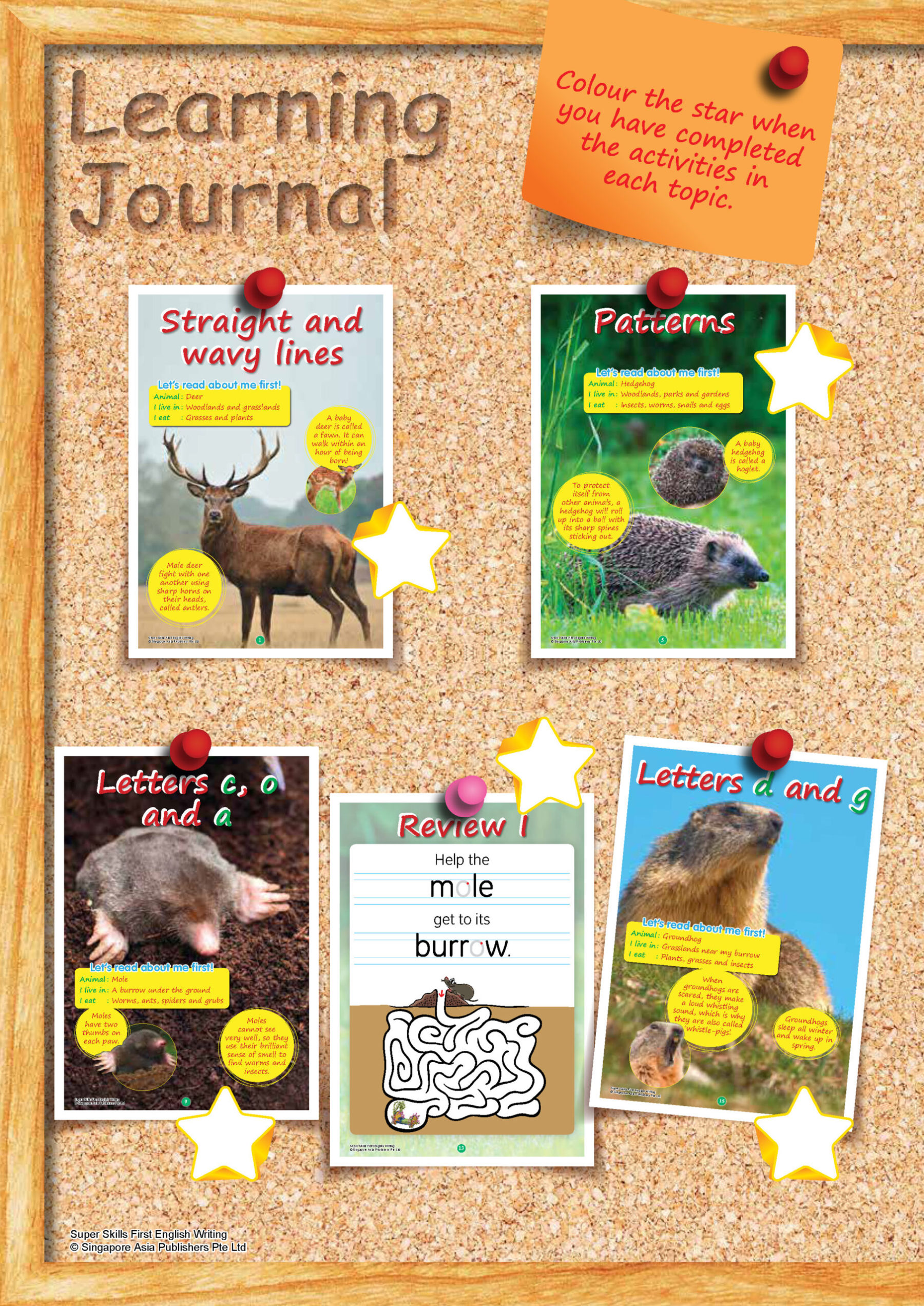 SUPER SKILLS First English WRITING (Age 3+ Years)