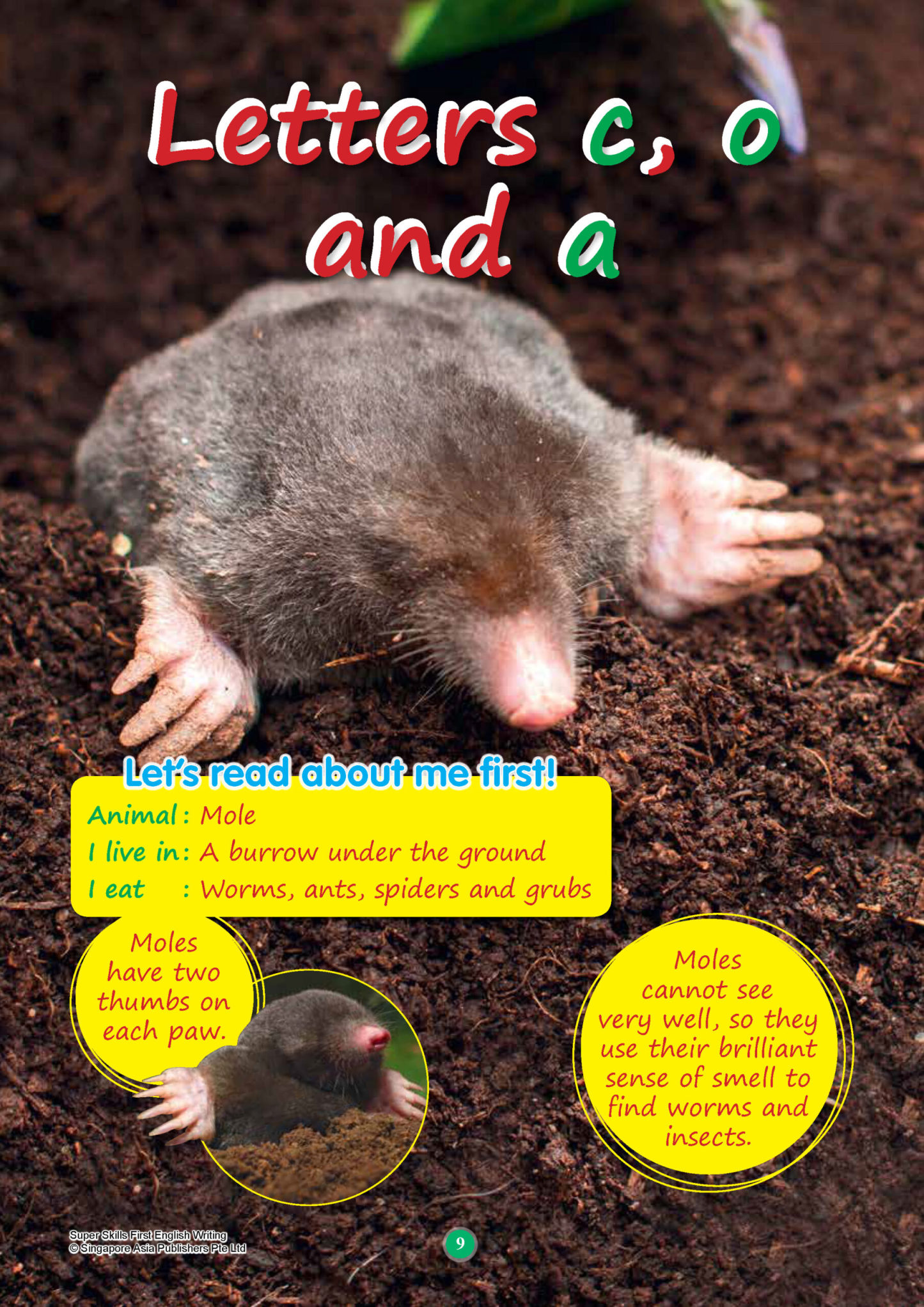 SUPER SKILLS First English WRITING (Age 3+ Years)