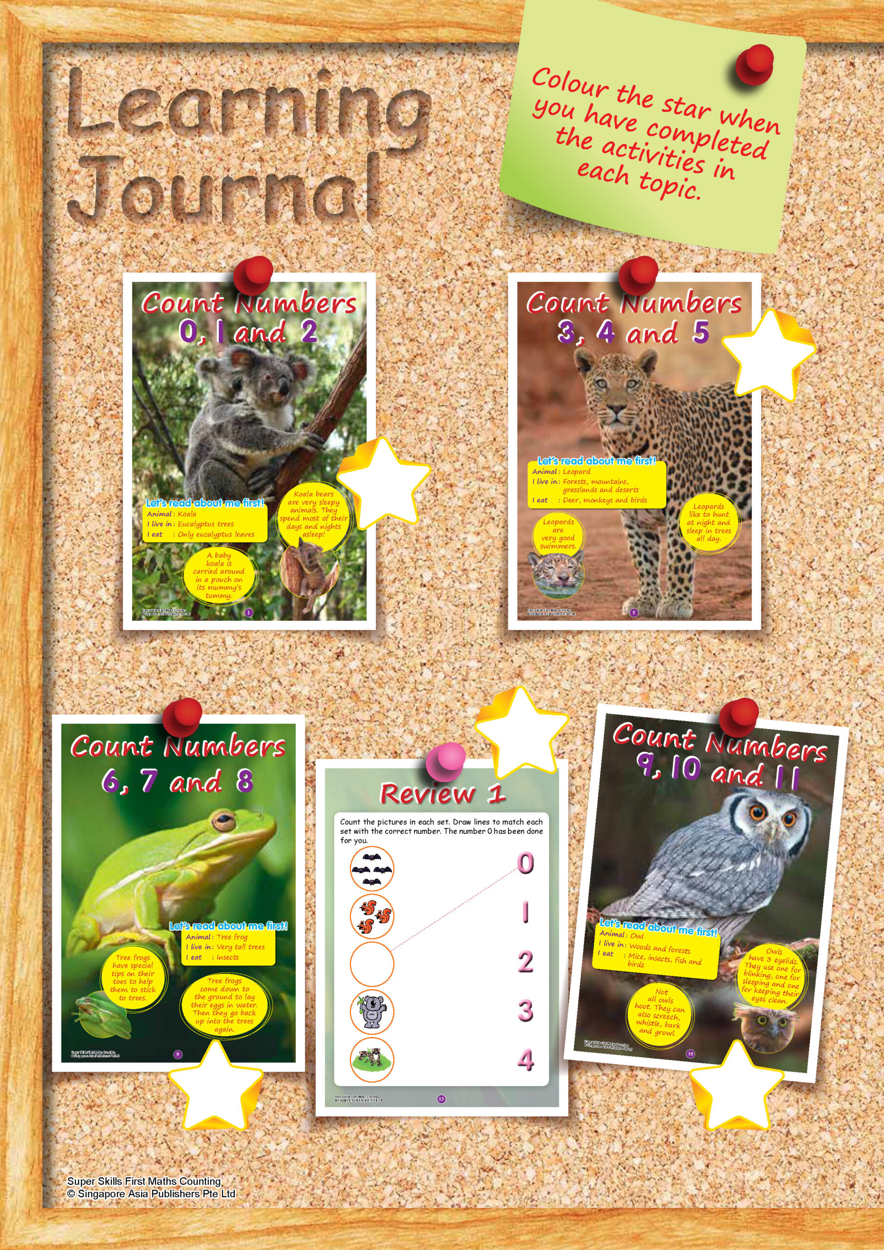 SUPER SKILLS First Maths COUNTING (Age 3+ Years)