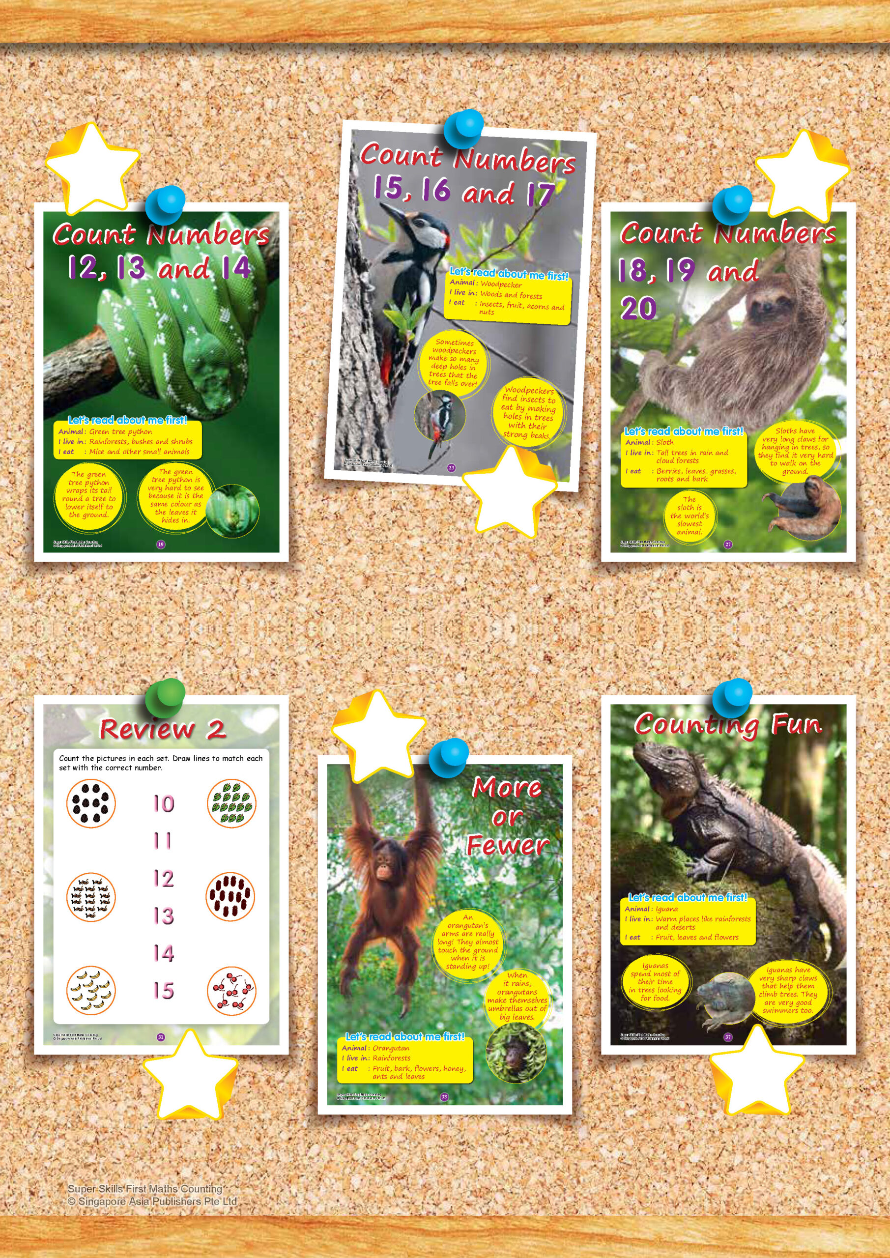 SUPER SKILLS First Maths COUNTING (Age 3+ Years)