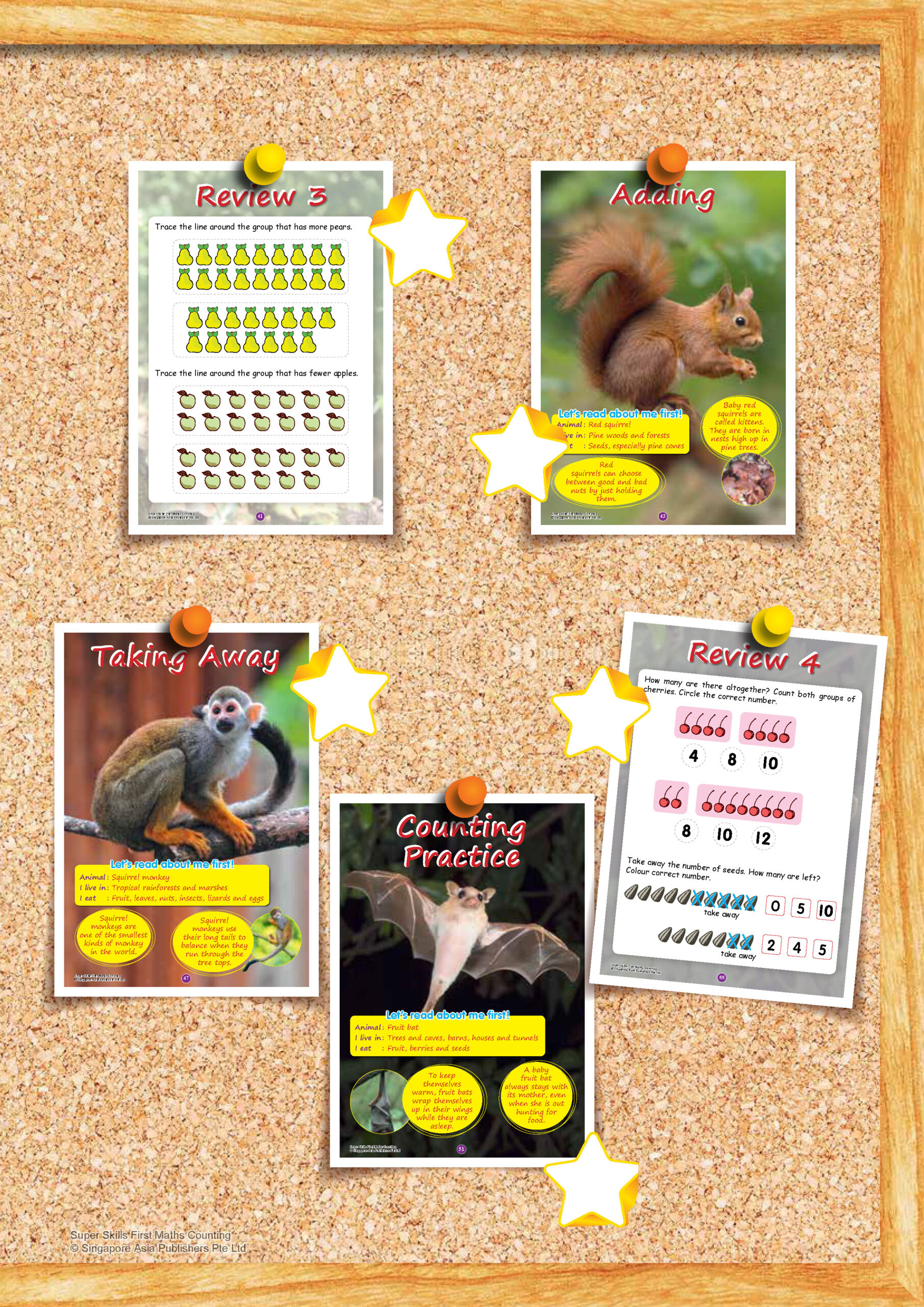 SUPER SKILLS First Maths COUNTING (Age 3+ Years)