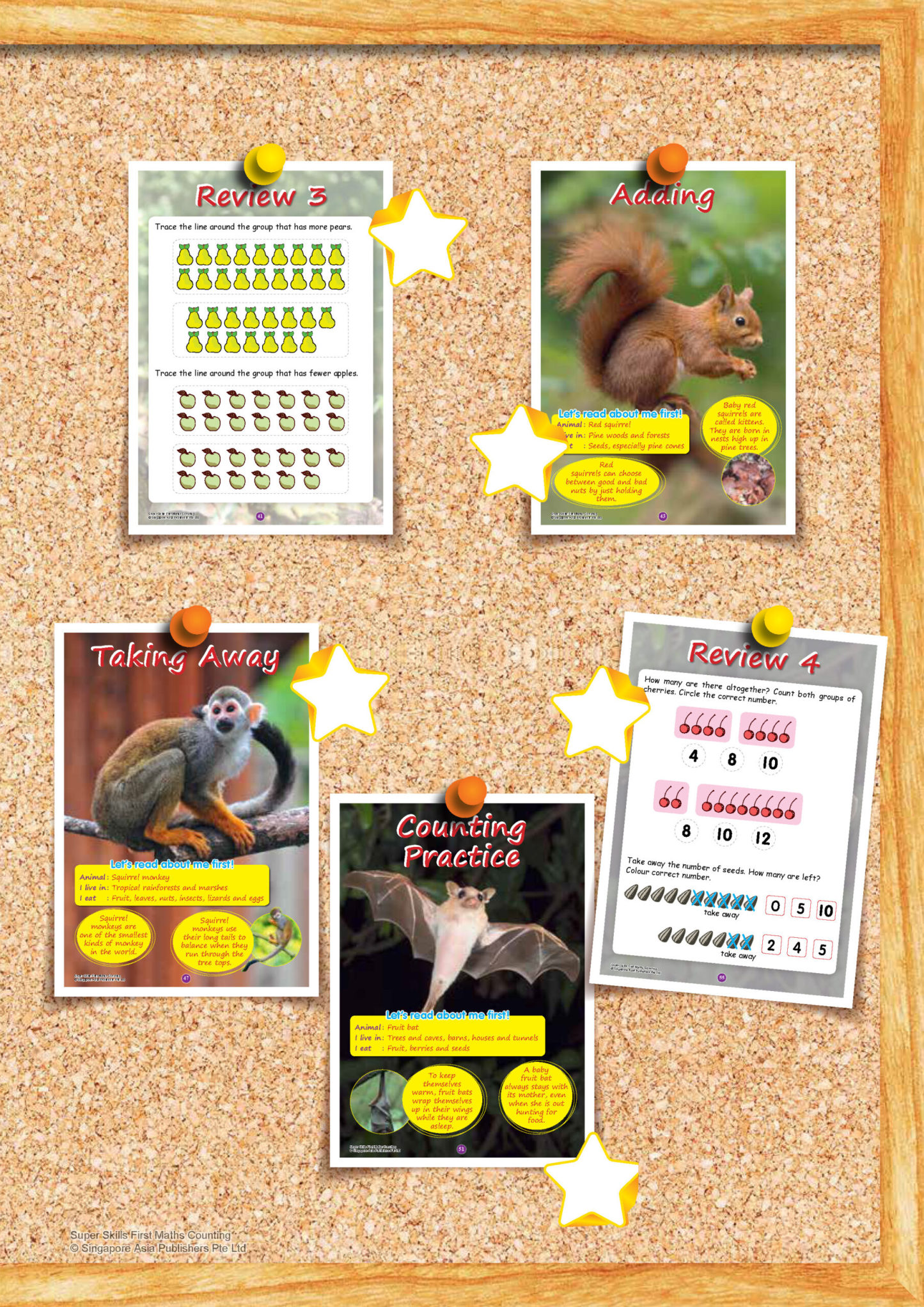 SUPER SKILLS First Maths COUNTING (Age 3+ Years)