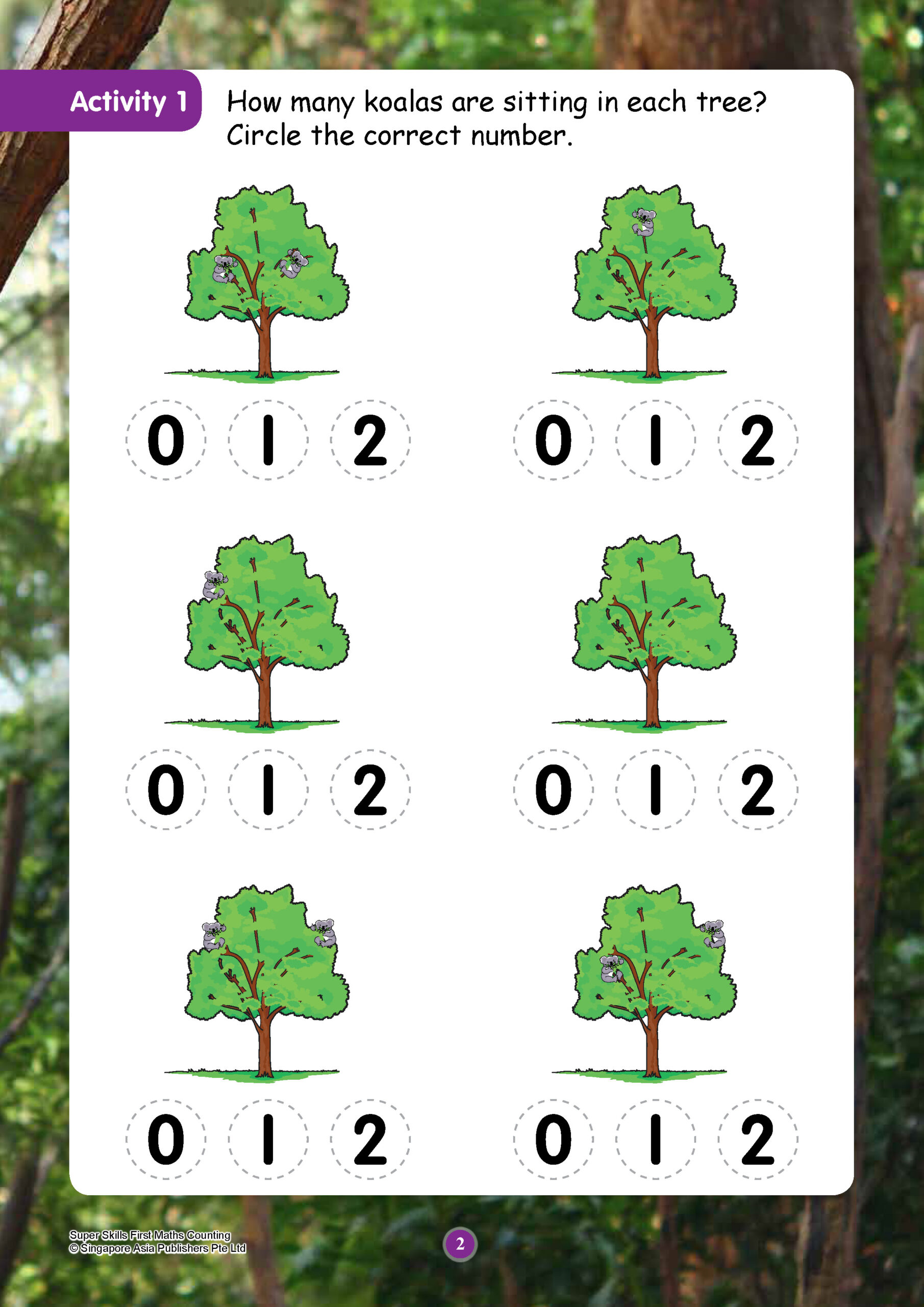 SUPER SKILLS First Maths COUNTING (Age 3+ Years)