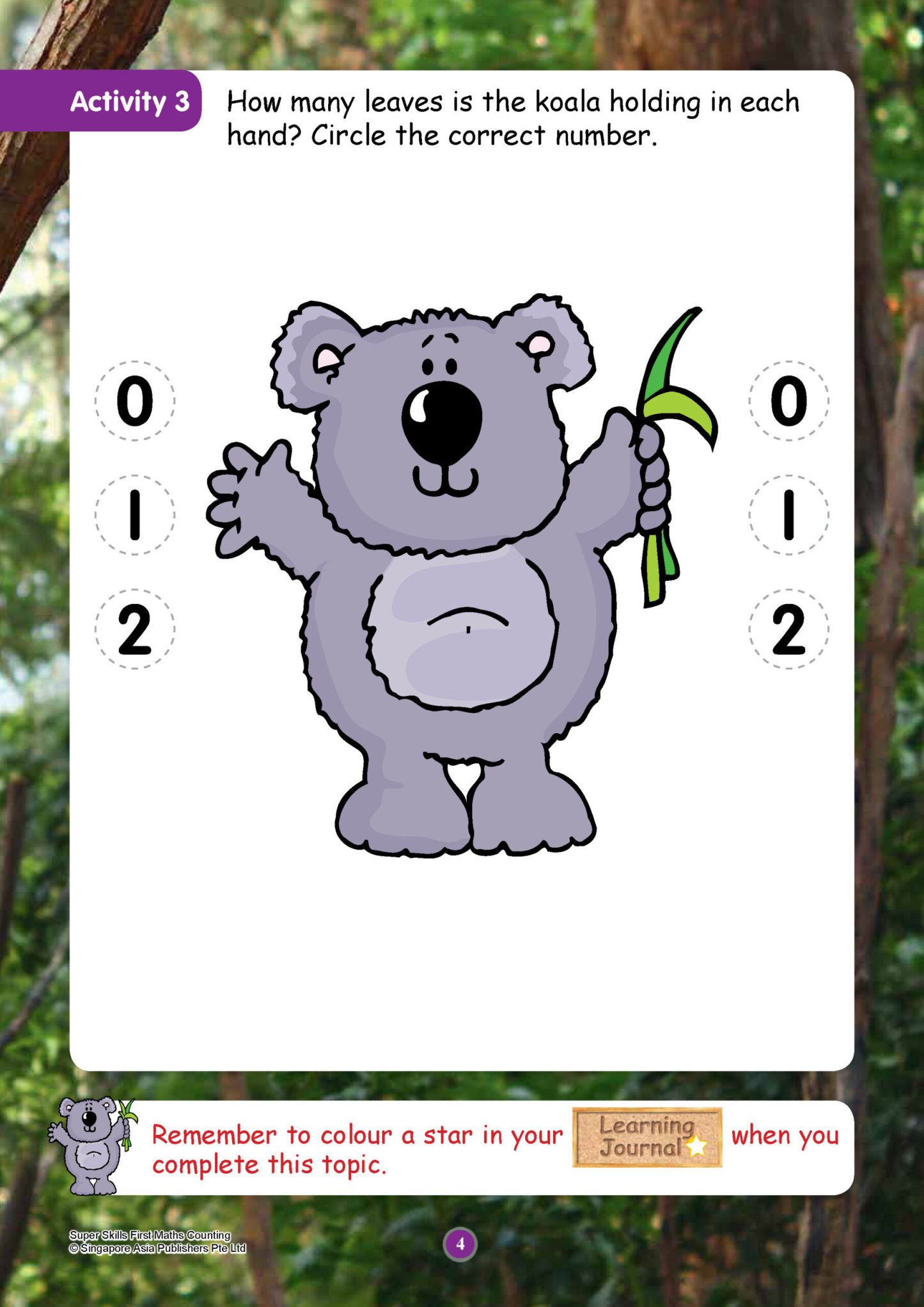 SUPER SKILLS First Maths COUNTING (Age 3+ Years)