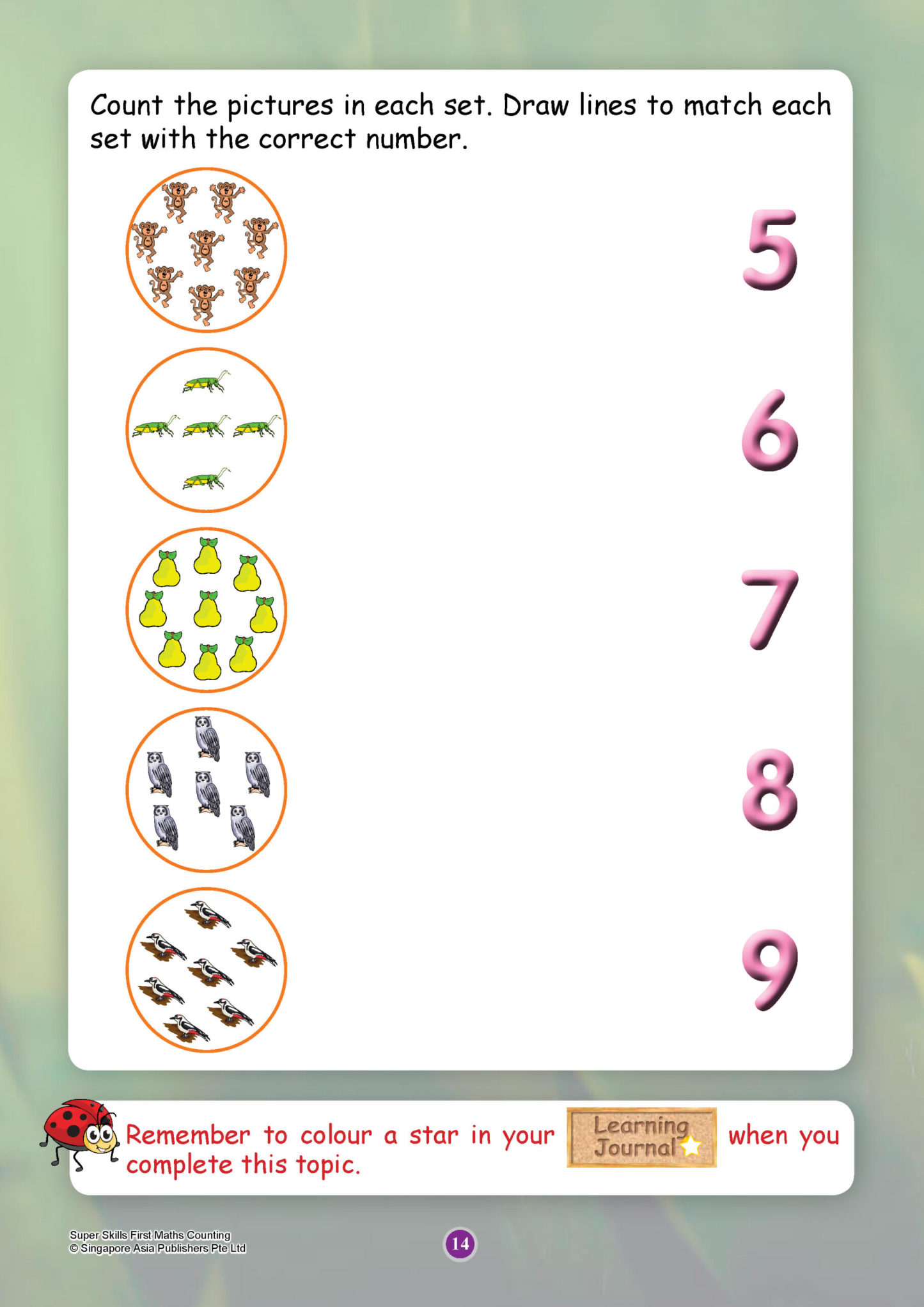 SUPER SKILLS First Maths COUNTING (Age 3+ Years)