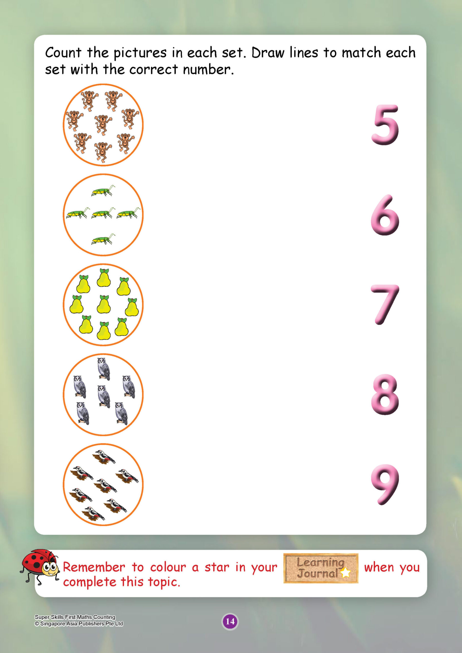 SUPER SKILLS First Maths COUNTING (Age 3+ Years)