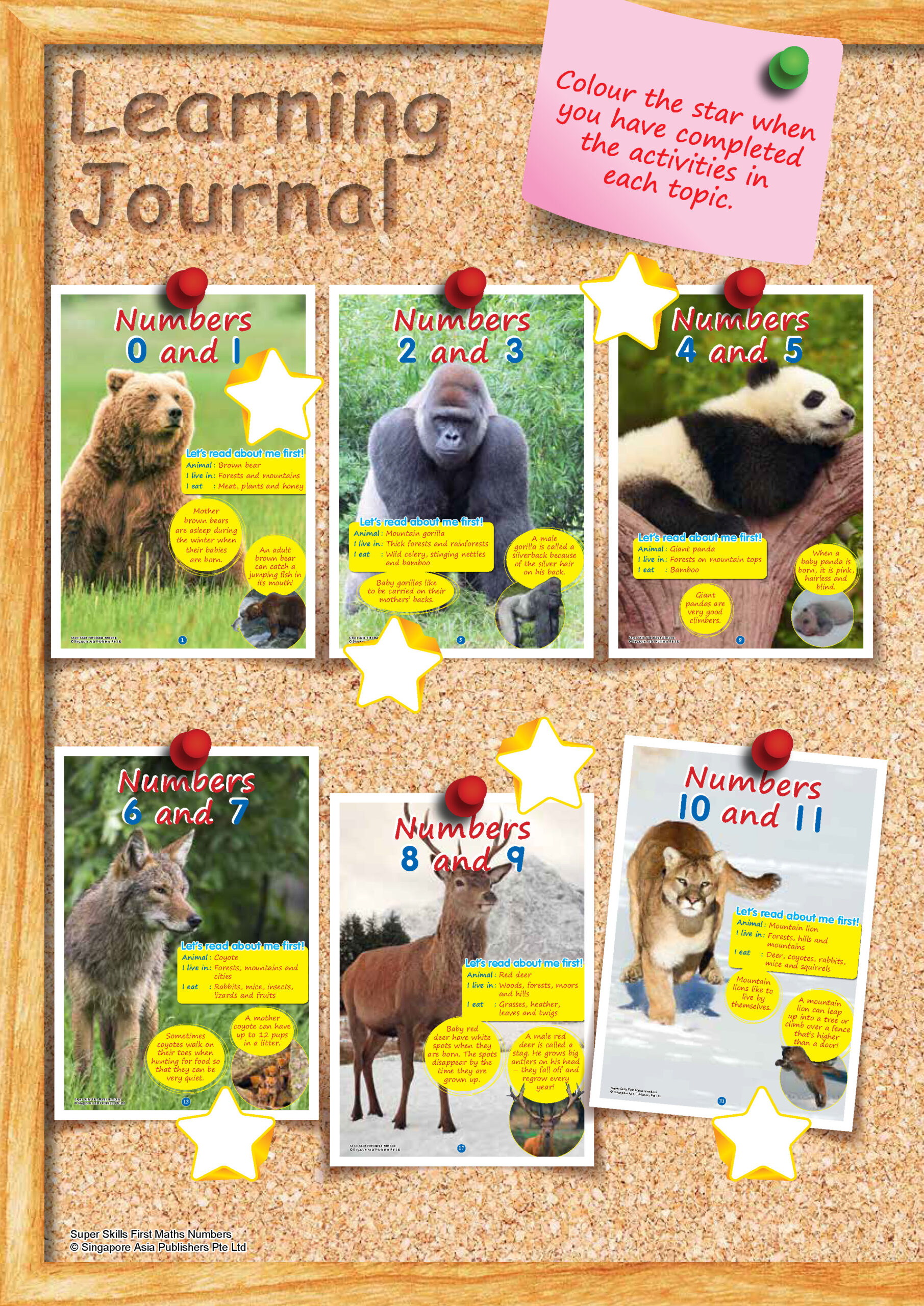 SUPER SKILLS First Maths NUMBERS (Age 3+ Years)