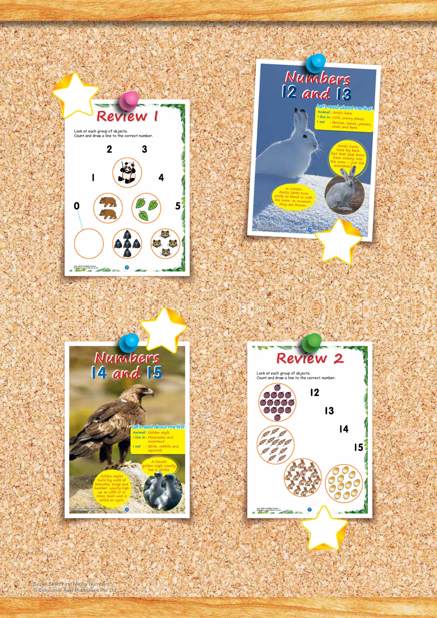 SUPER SKILLS First Maths NUMBERS (Age 3+ Years)