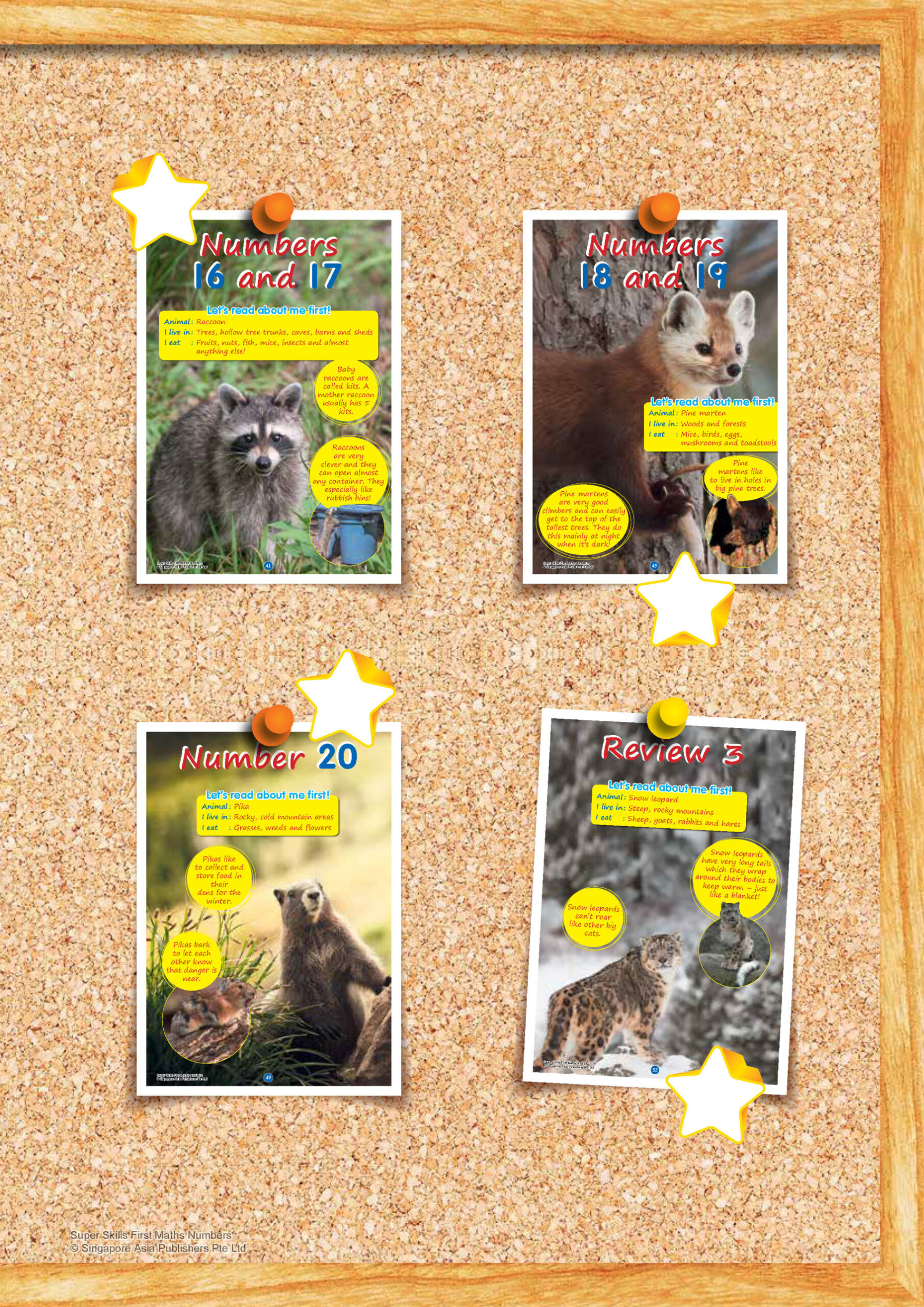 SUPER SKILLS First Maths NUMBERS (Age 3+ Years)