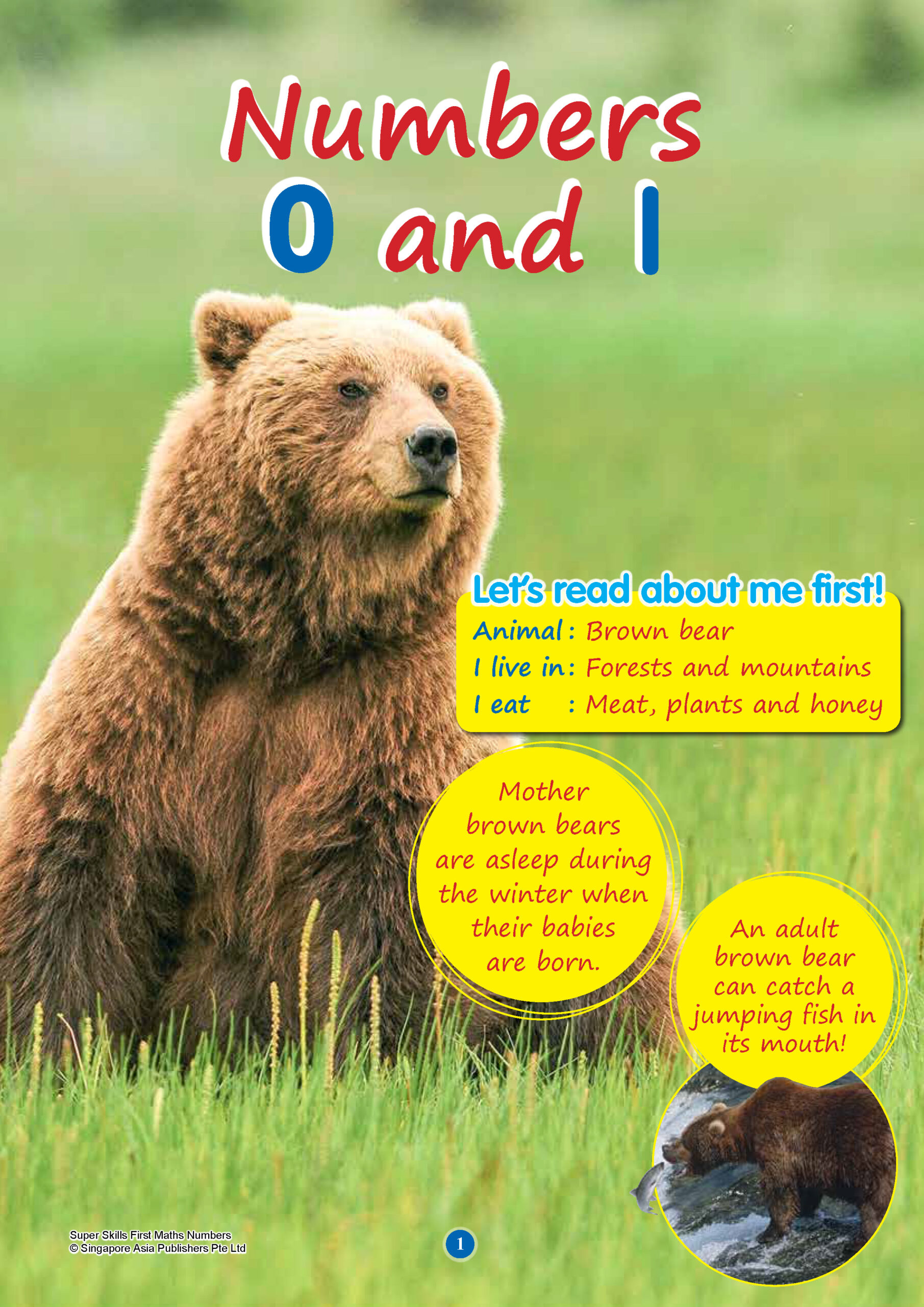 SUPER SKILLS First Maths NUMBERS (Age 3+ Years)