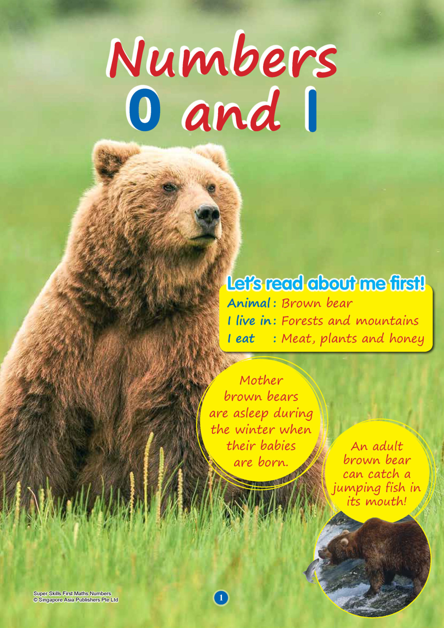 SUPER SKILLS First Maths NUMBERS (Age 3+ Years)