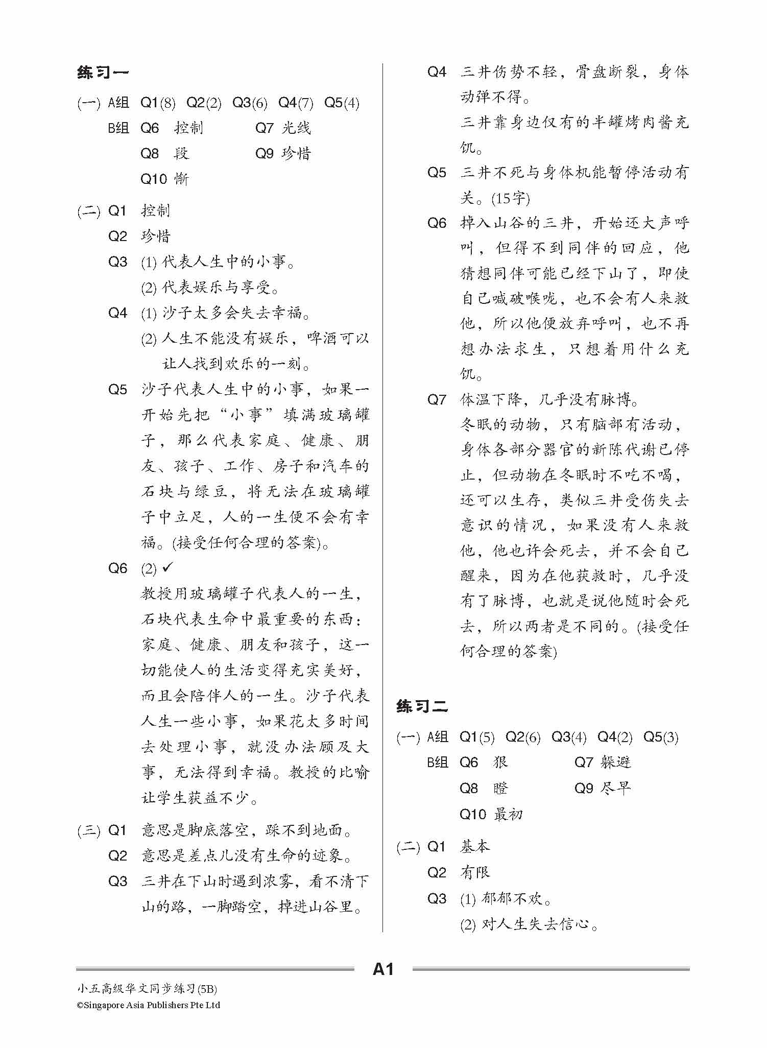 小五高级华文 同步练习 (5B) / Primary 5B Higher Chinese Topical Exercises