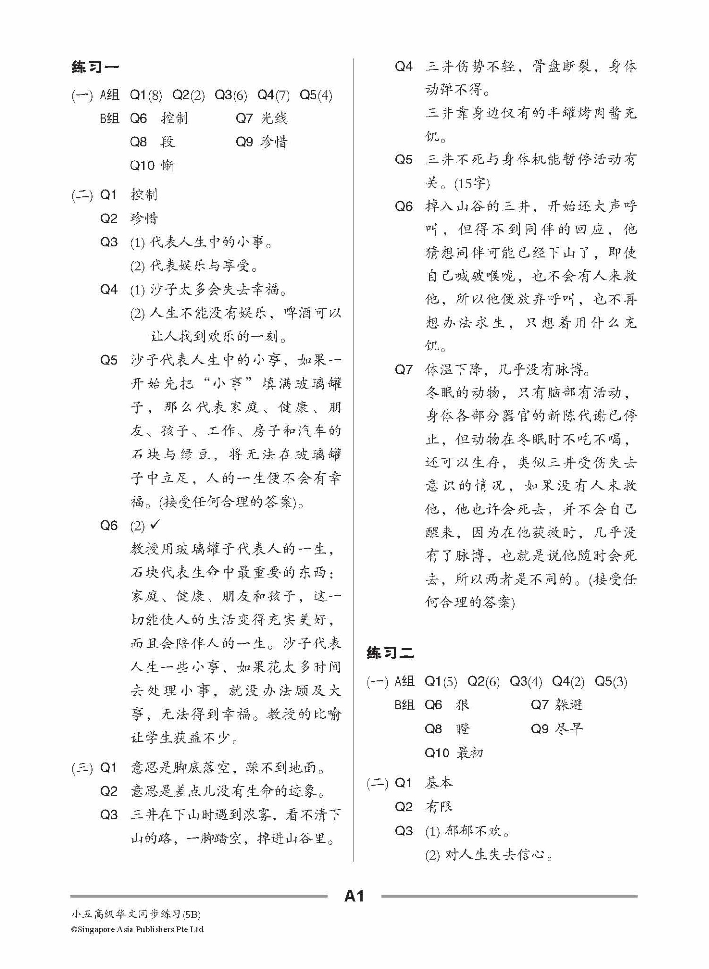 小五高级华文 同步练习 (5B) / Primary 5B Higher Chinese Topical Exercises