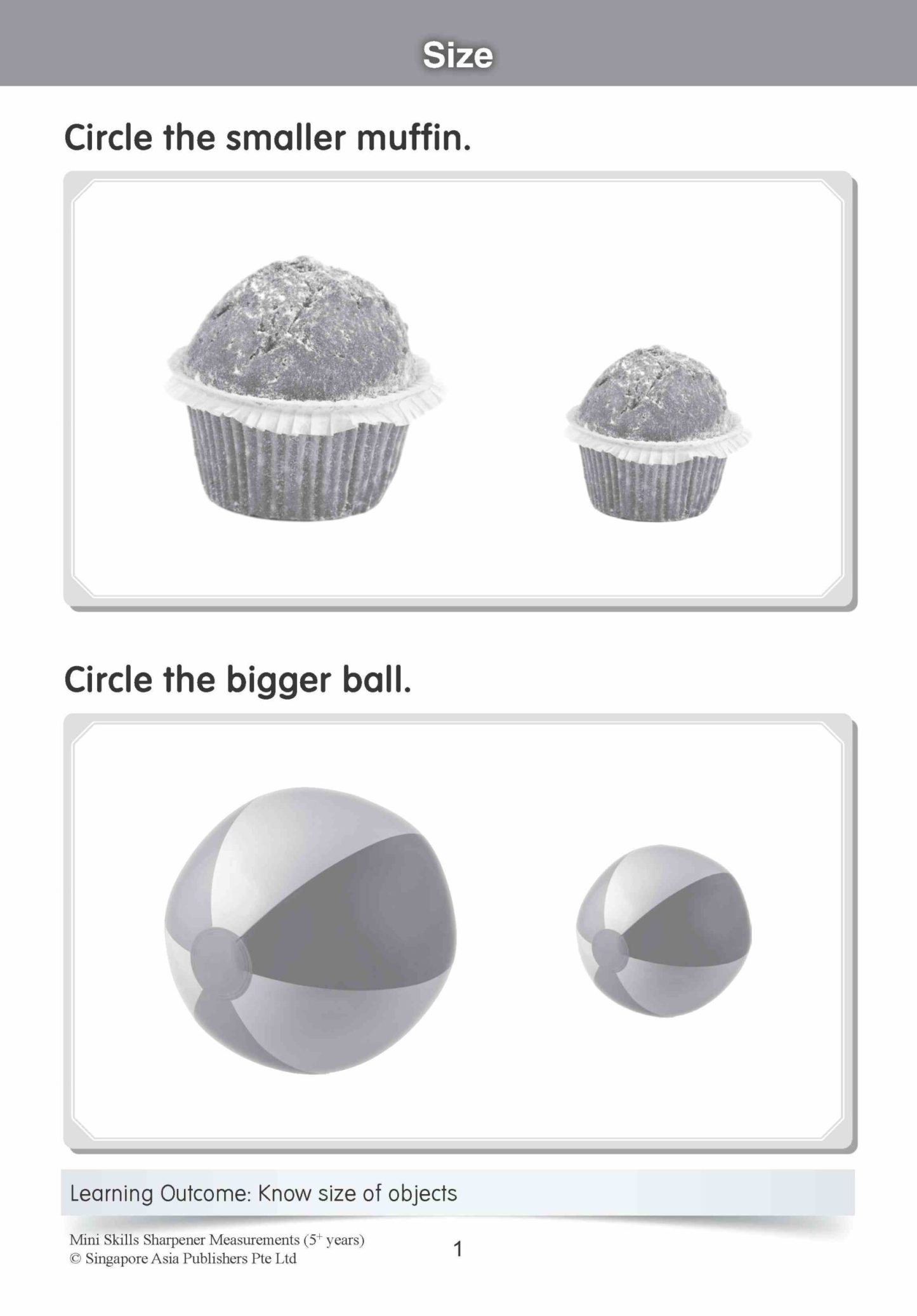 Mini Skills Sharpener MEASUREMENTS (5+ Years)