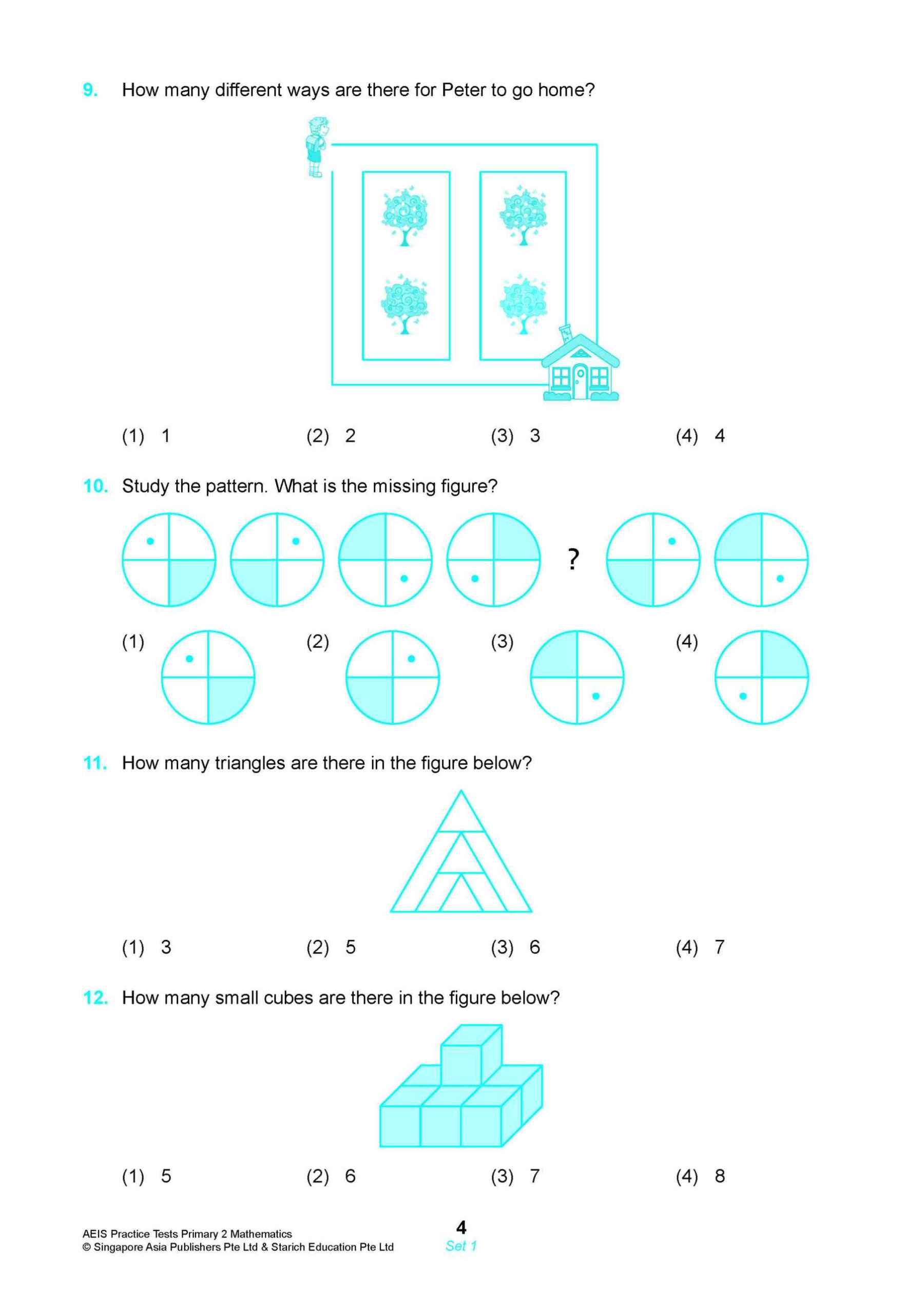 AEIS Practice Tests MATHEMATICS – Primary 2 (7 to 7+ Years)