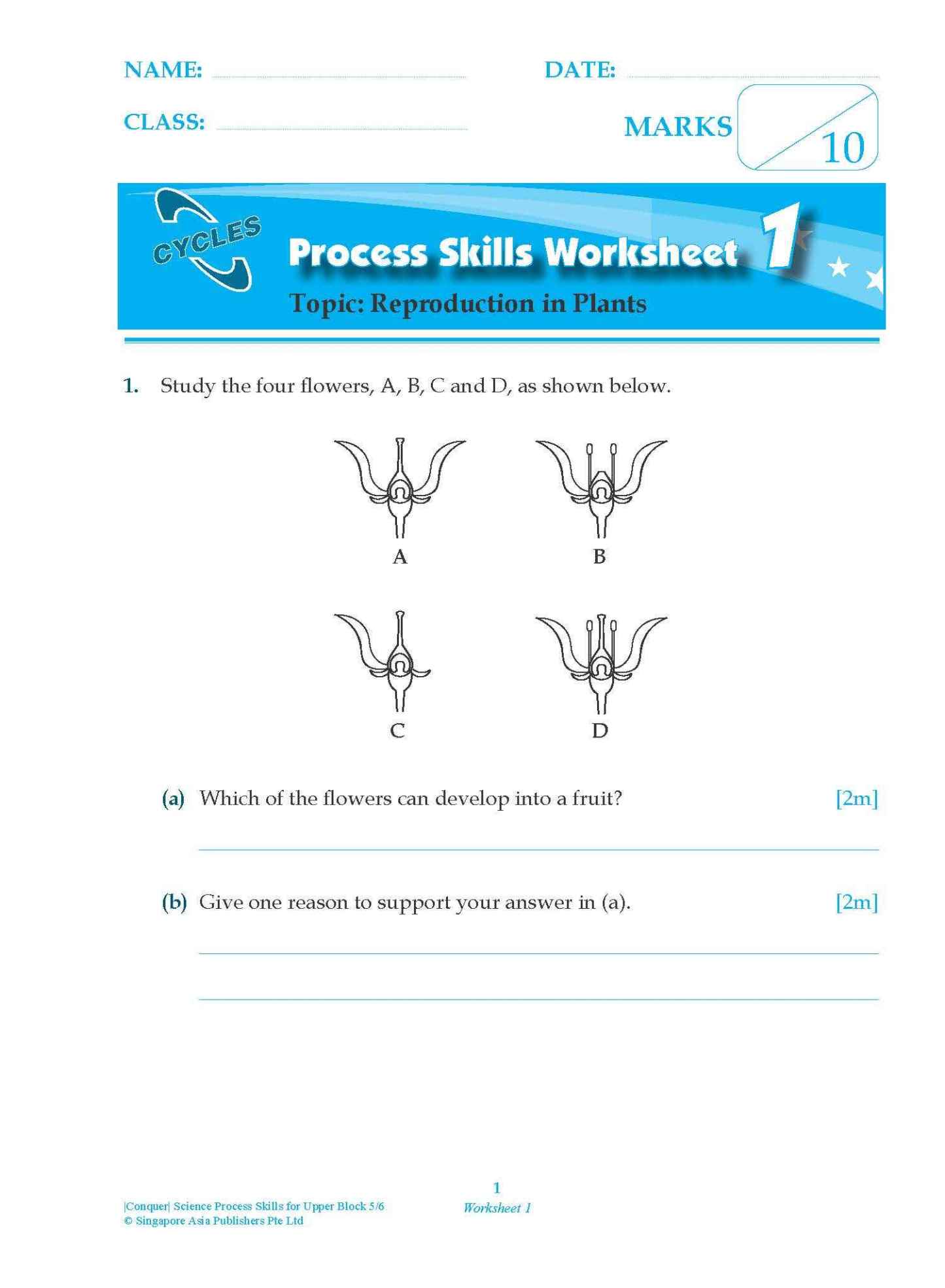 Conquer Science Process Skills Primary Level Upper Block 5/6