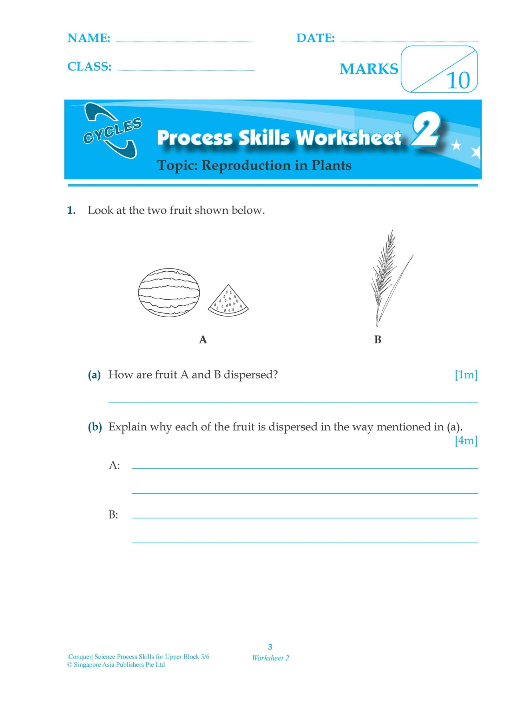 Conquer Science Process Skills Primary Level Upper Block 5/6