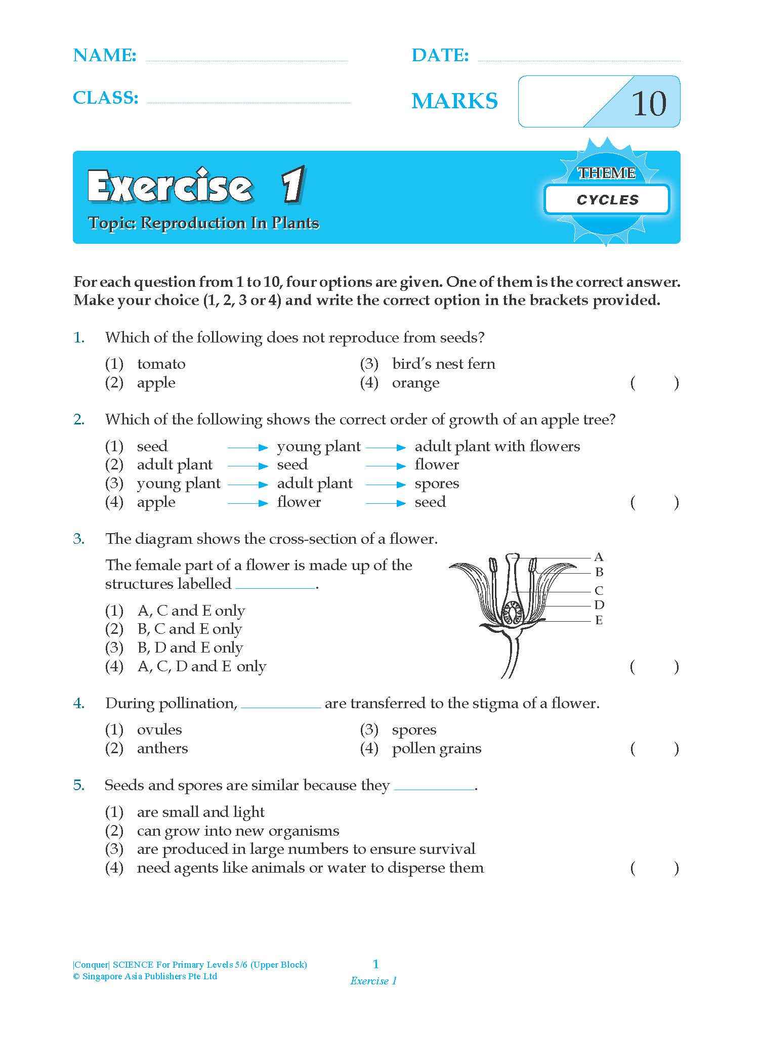 Conquer SCIENCE For Primary Levels 5/6