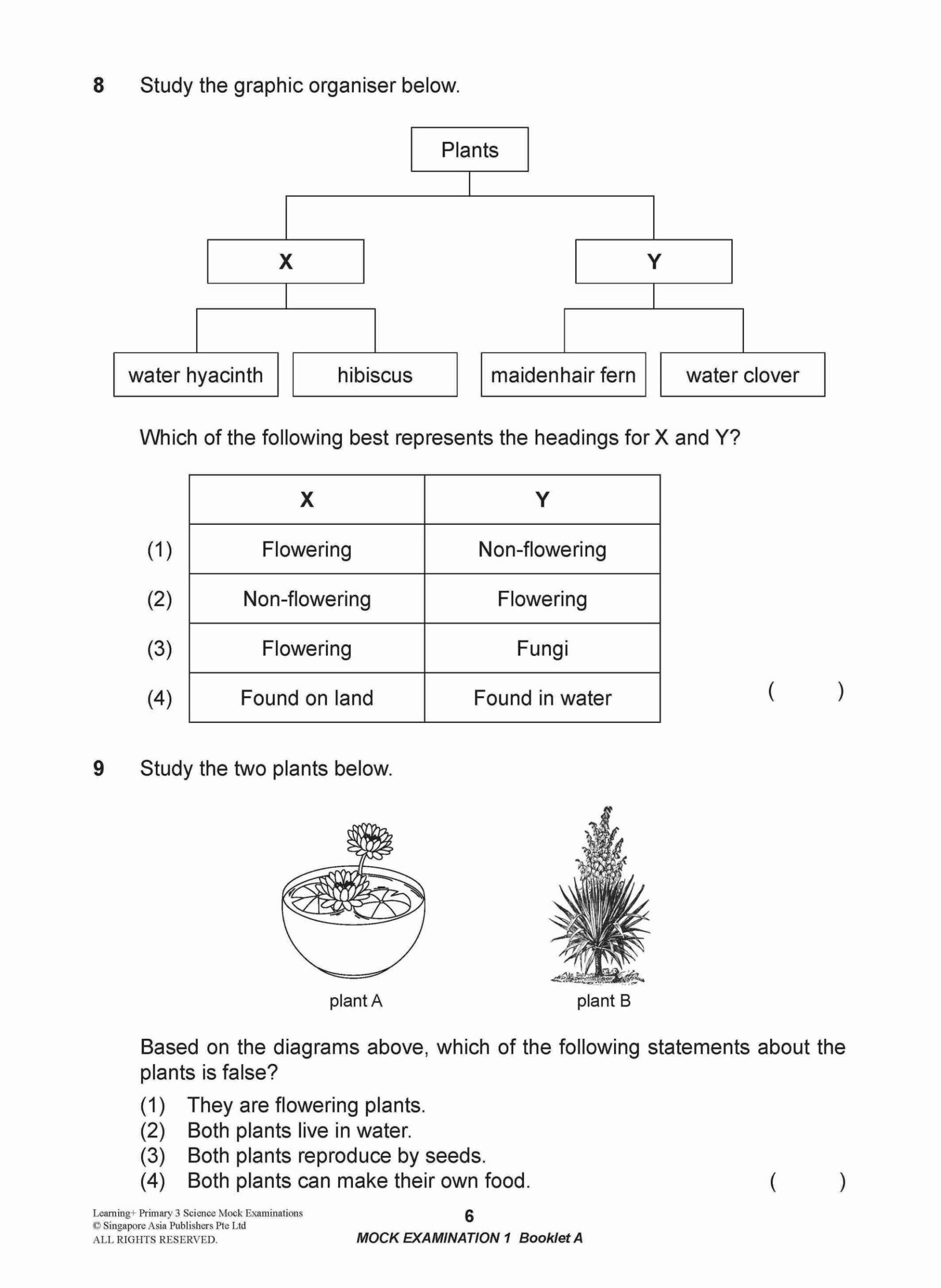 LEARNING+ Primary 3 Science Mock Examinations
