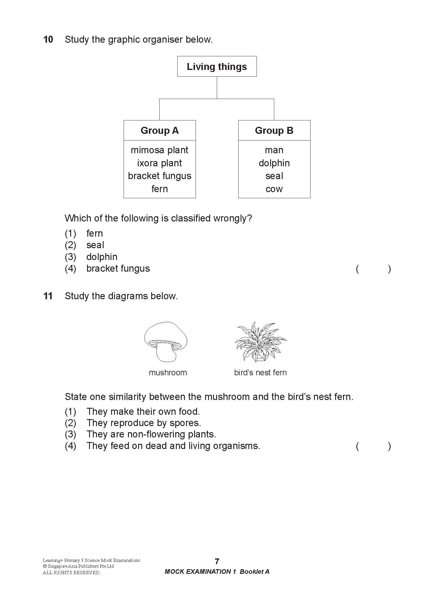 LEARNING+ Primary 3 Science Mock Examinations