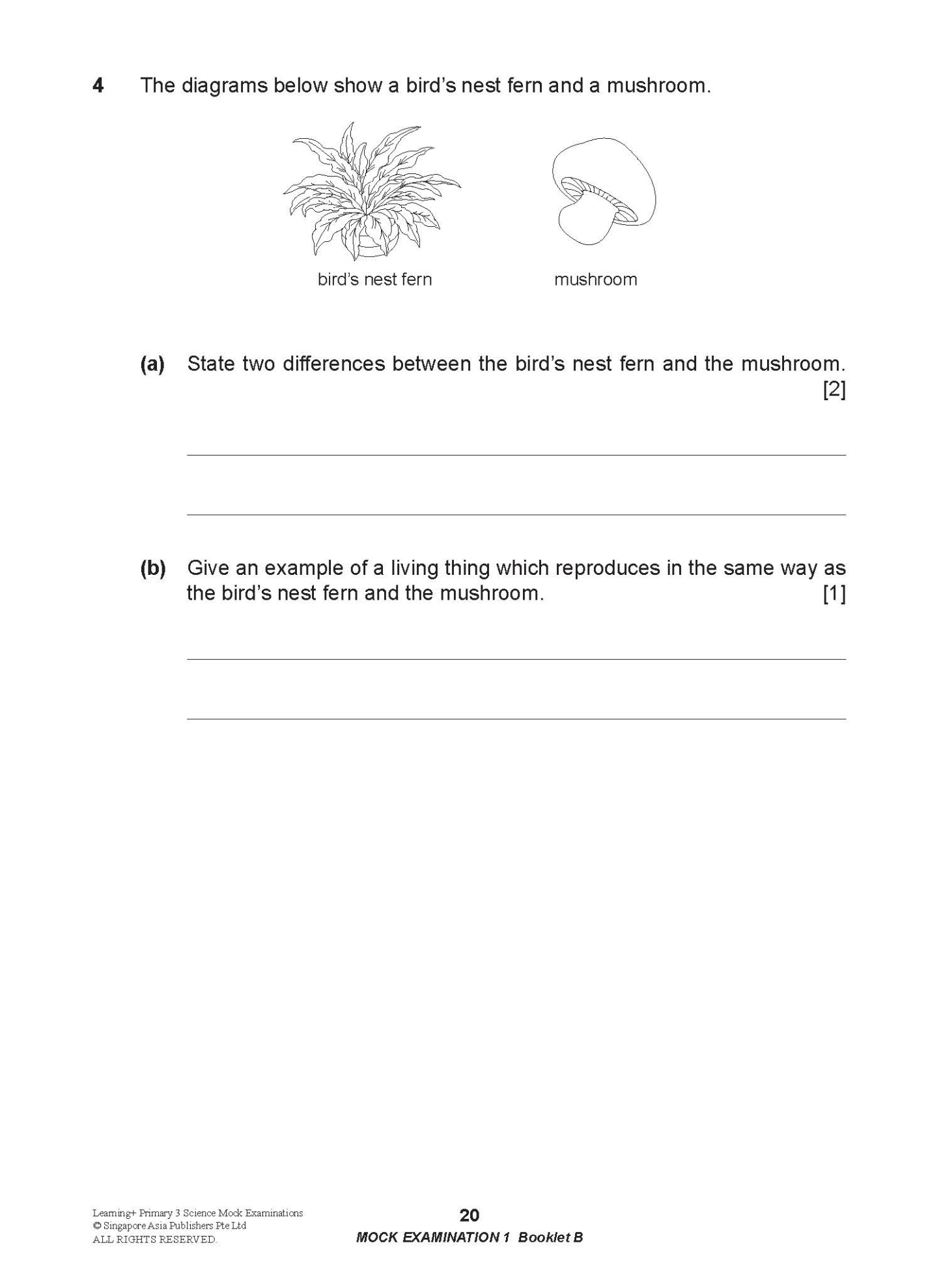 LEARNING+ Primary 3 Science Mock Examinations