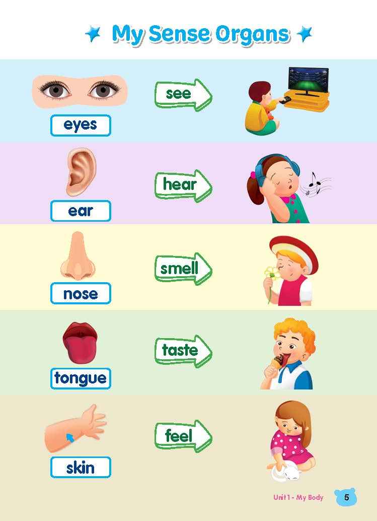 Rainbow Science Student Book Kindergarten 1A