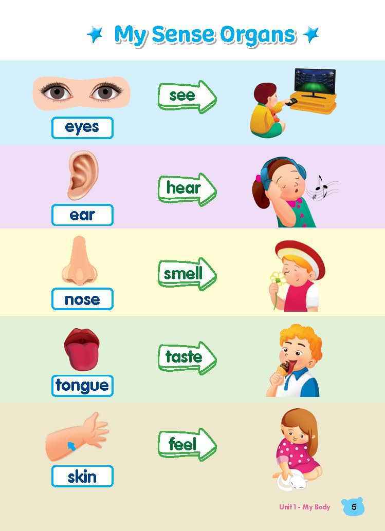 Rainbow Science Student Book Kindergarten 1A