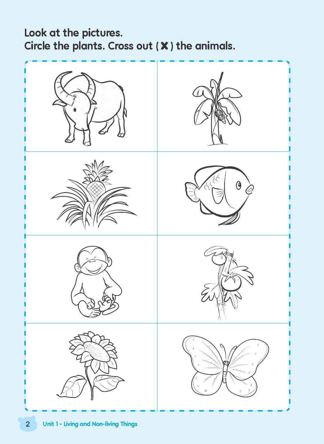 Rainbow Science Activity Book Kindergarten 1B