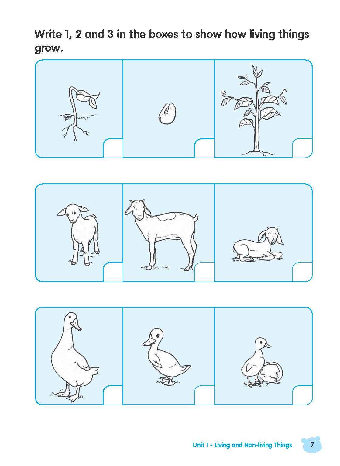 Rainbow Science Activity Book Kindergarten 1B