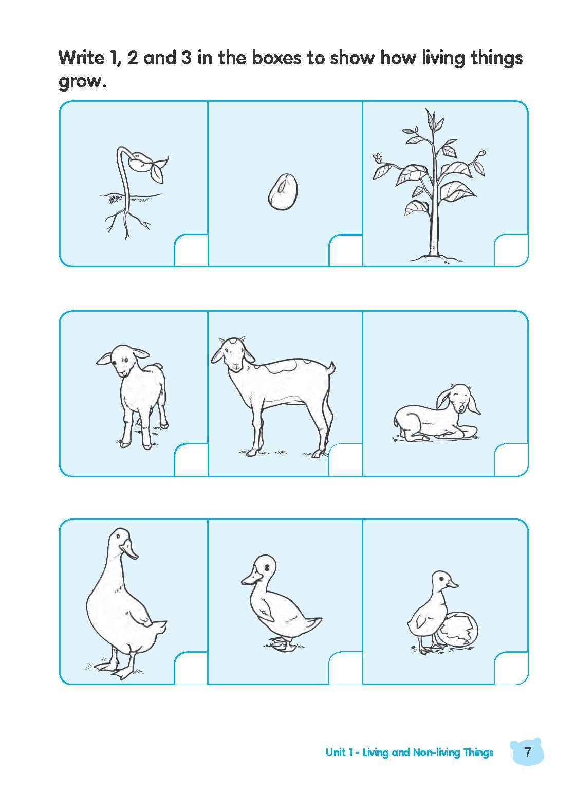 Rainbow Science Activity Book Kindergarten 1B