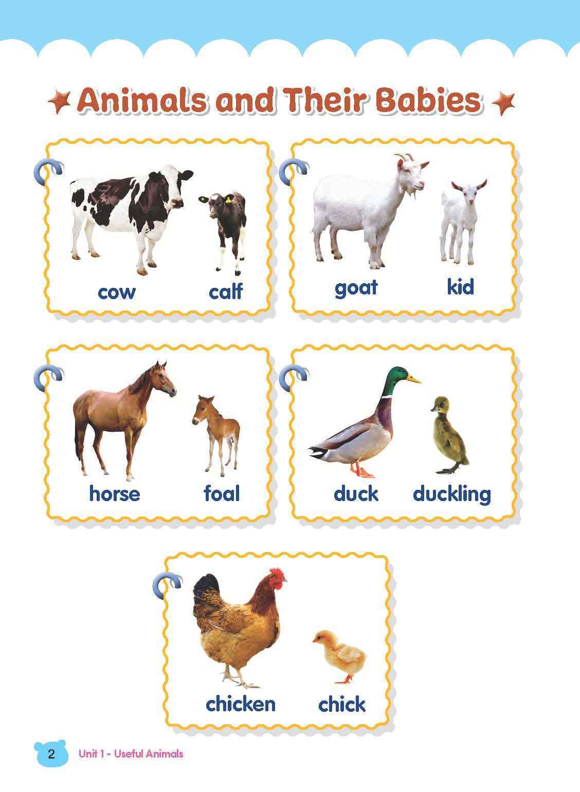 Rainbow Science Student Book Kindergarten 2A