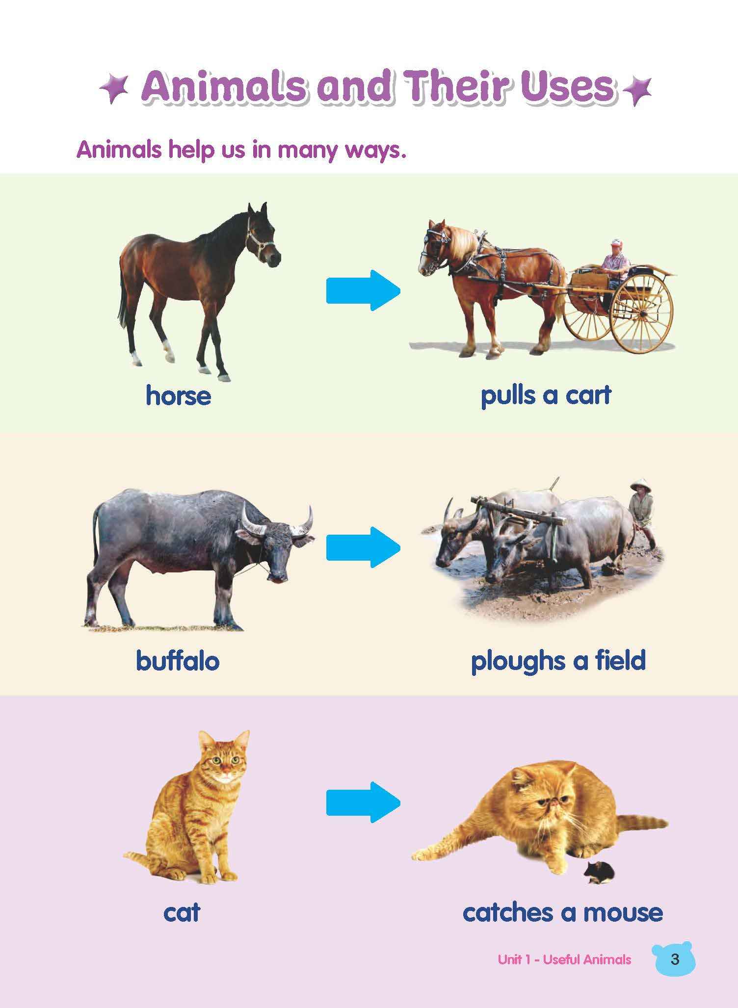 Rainbow Science Student Book Kindergarten 2A