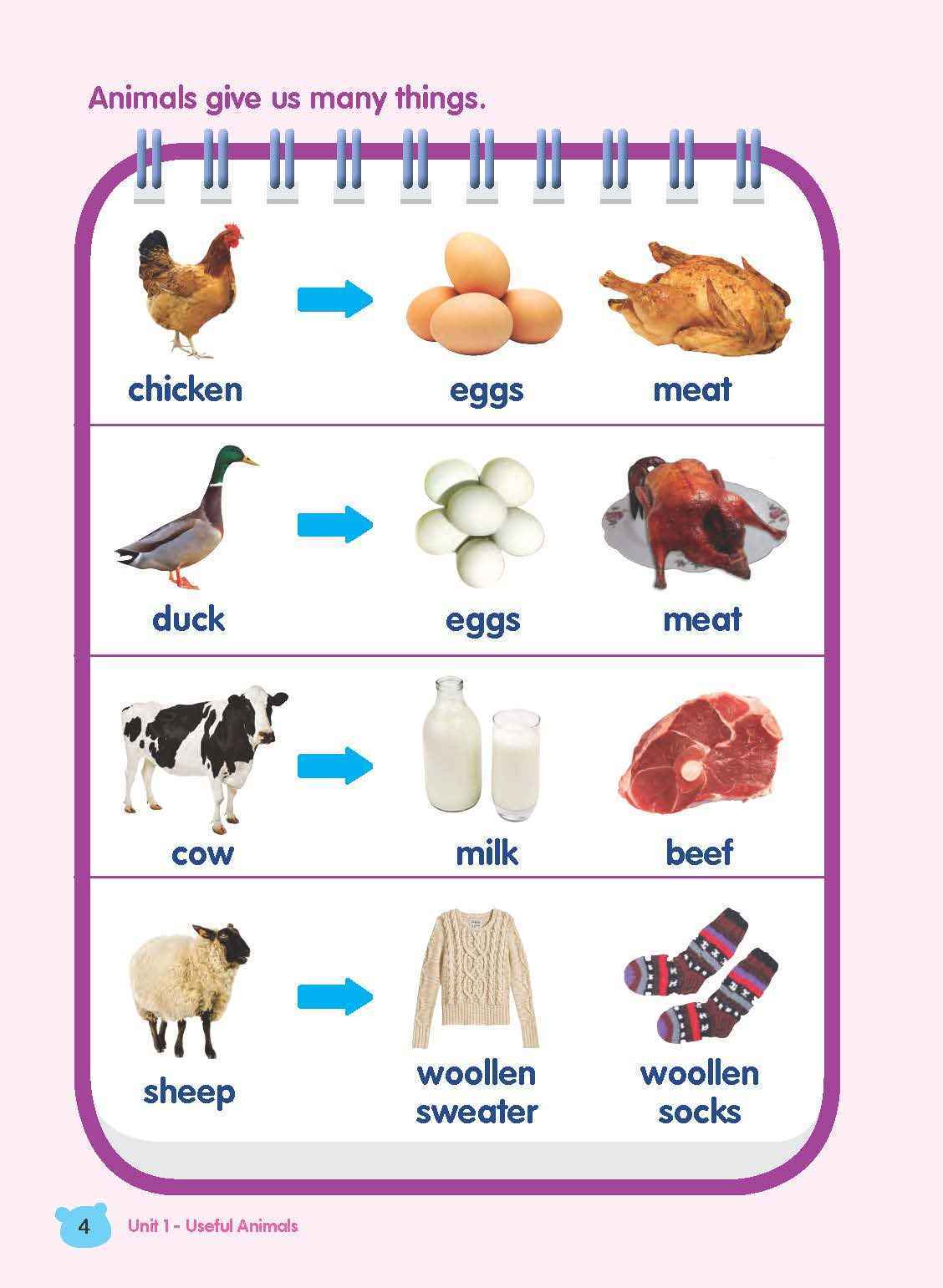 Rainbow Science Student Book Kindergarten 2A