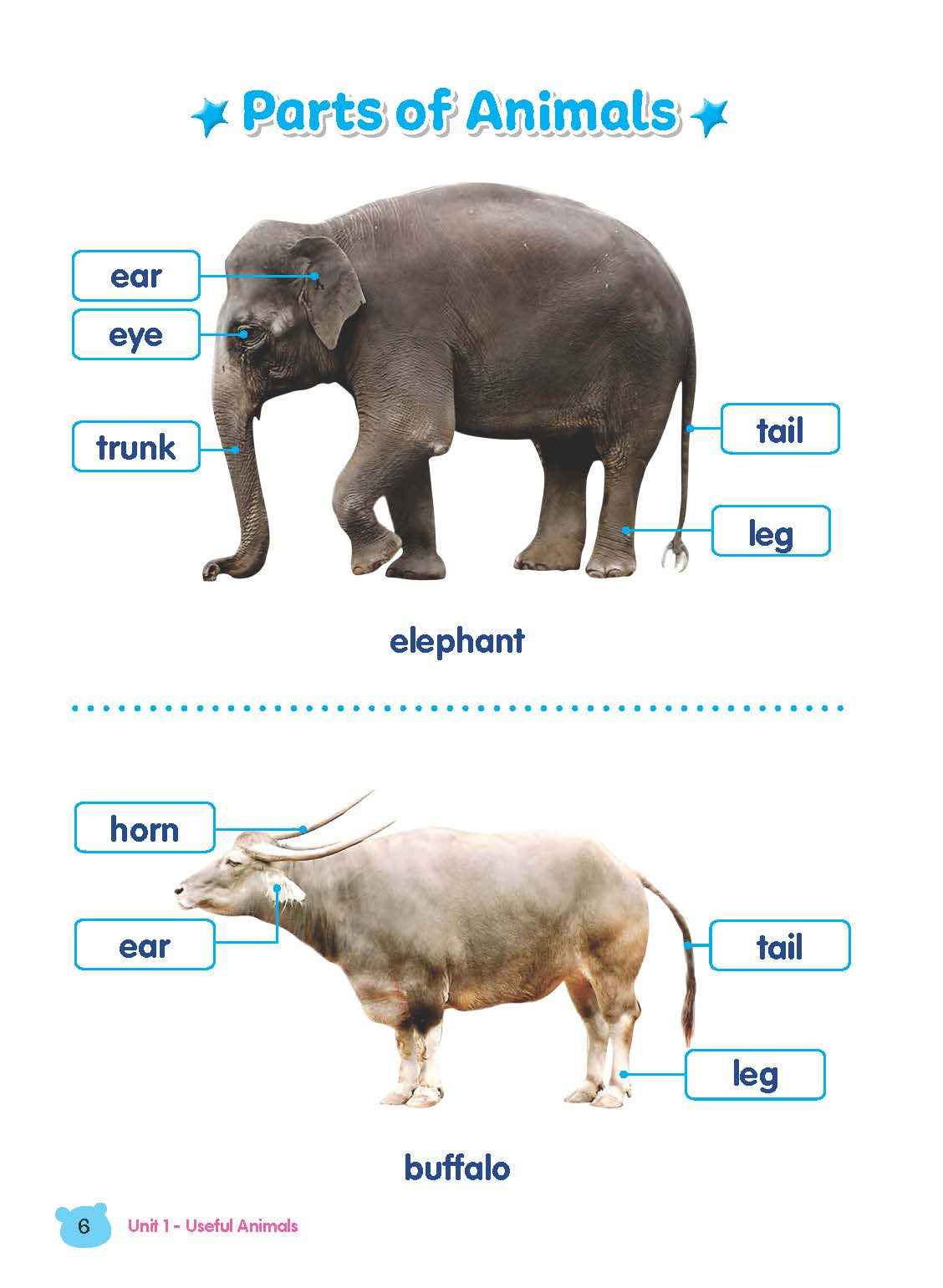 Rainbow Science Student Book Kindergarten 2A