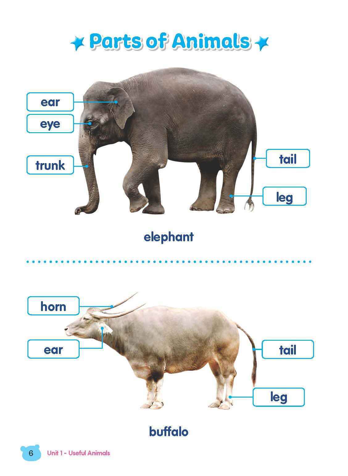 Rainbow Science Student Book Kindergarten 2A