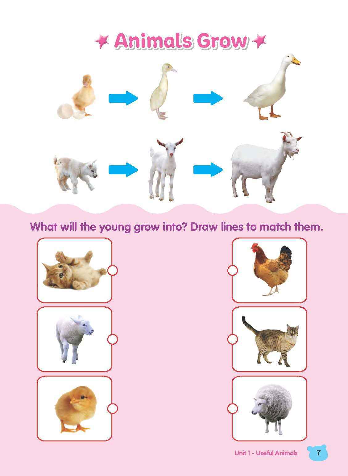 Rainbow Science Student Book Kindergarten 2A