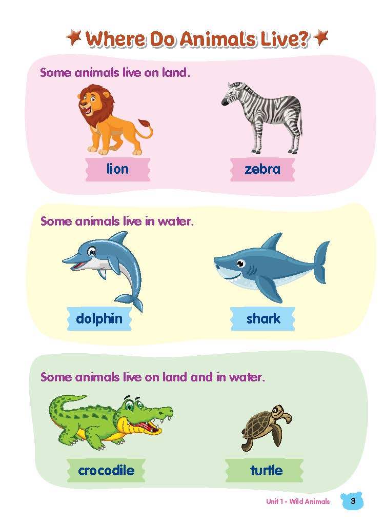 Rainbow Science Student Book Kindergarten 2B