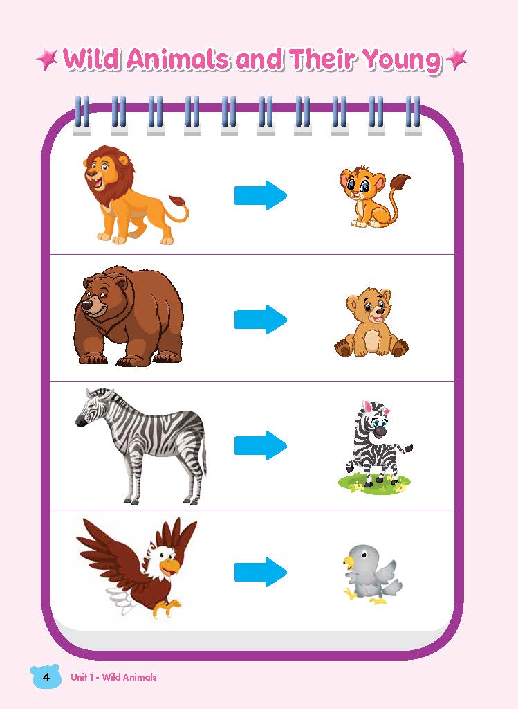 Rainbow Science Student Book Kindergarten 2B