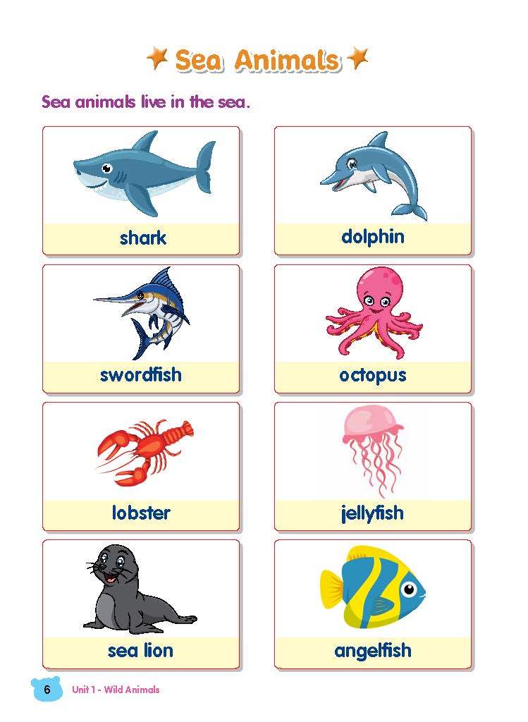 Rainbow Science Student Book Kindergarten 2B