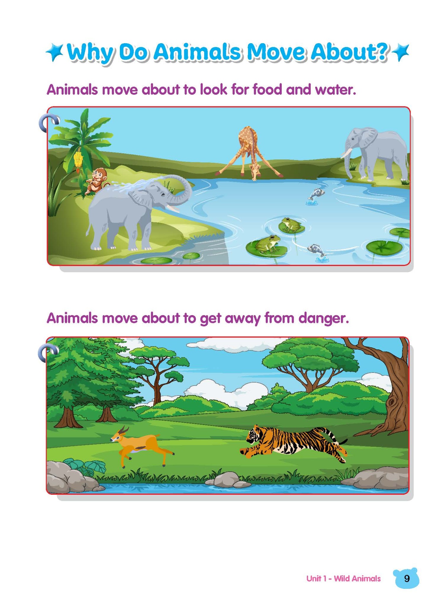 Rainbow Science Student Book Kindergarten 2B