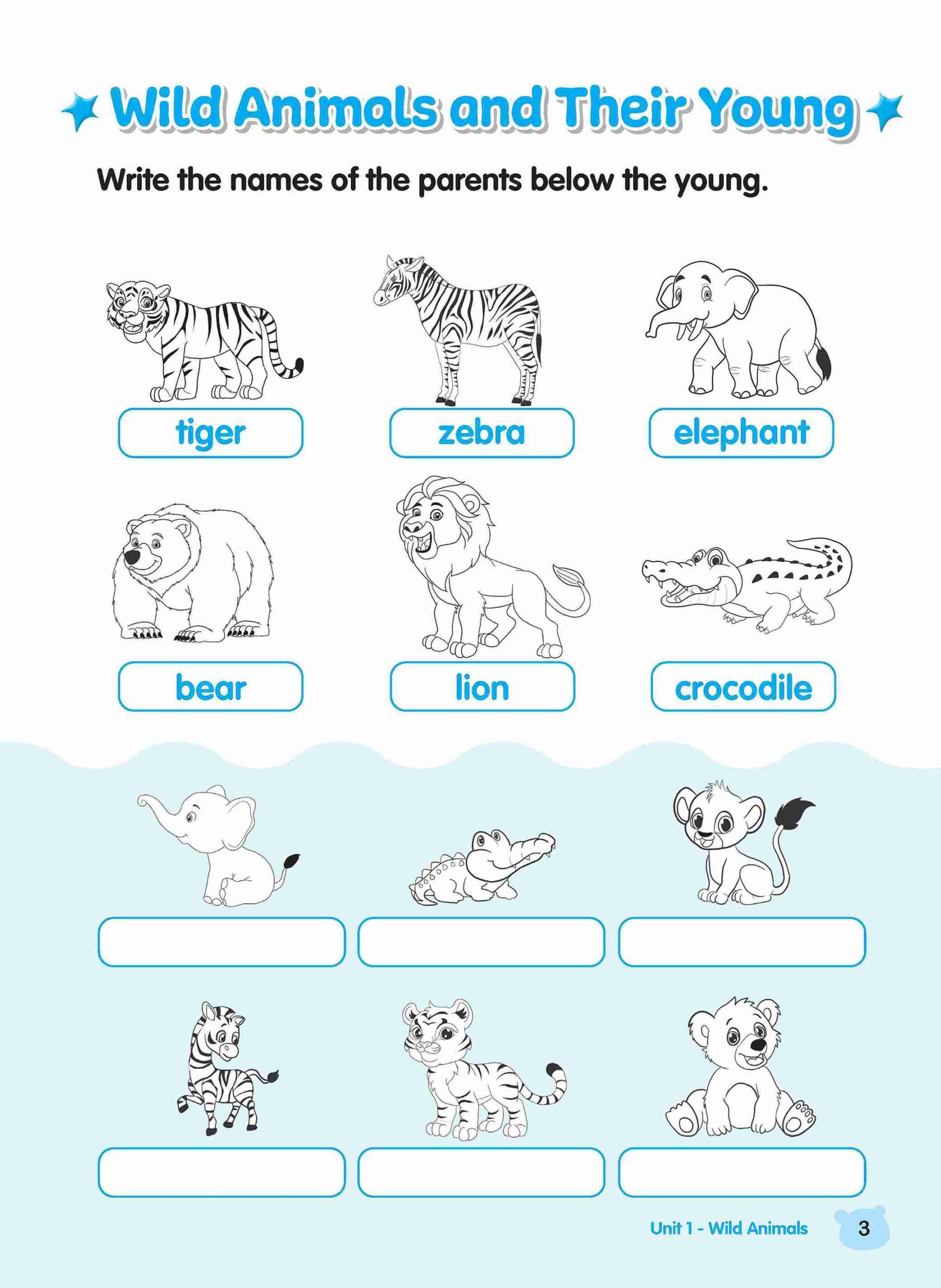 Rainbow Science Activity Book Kindergarten 2B