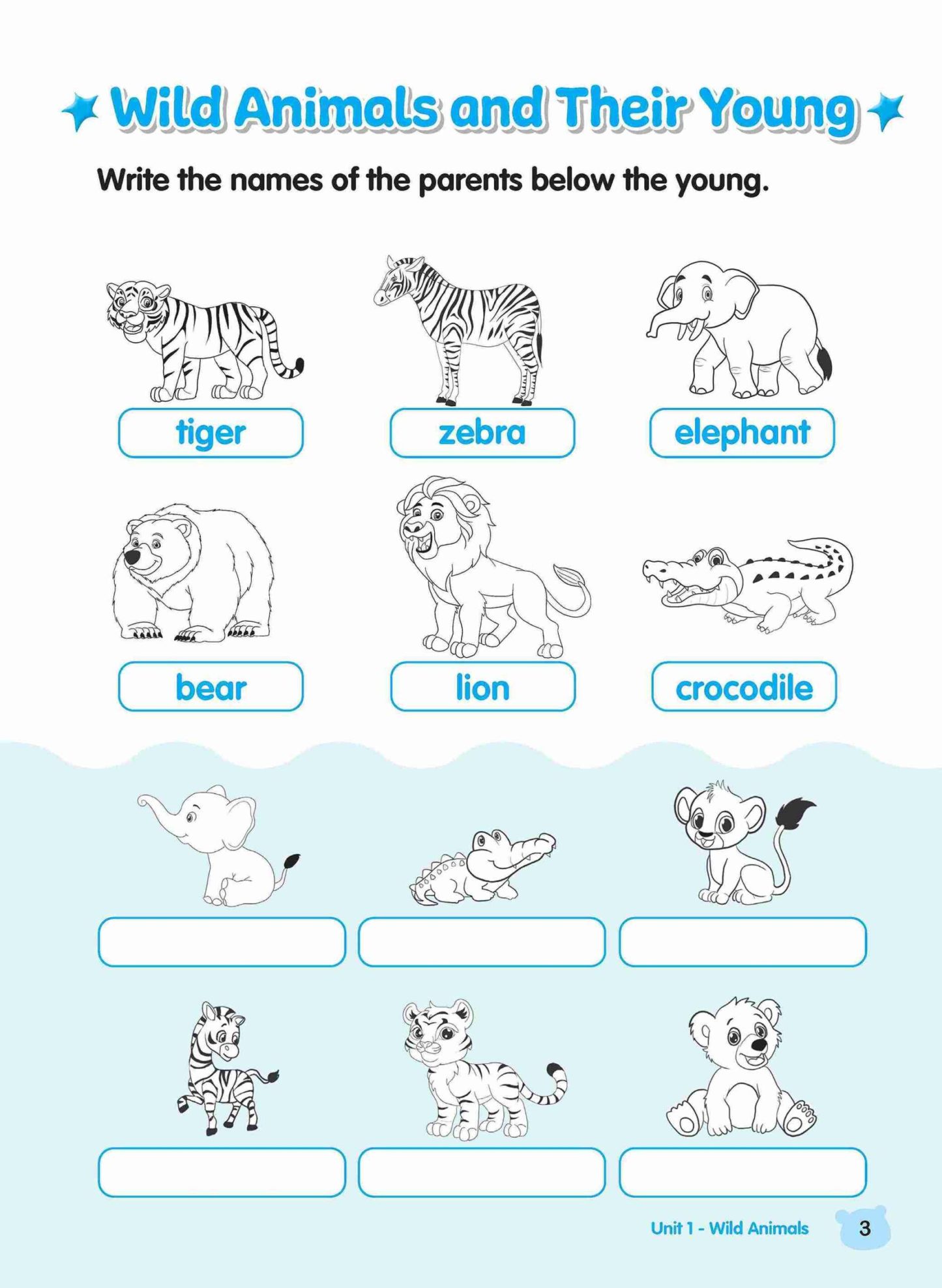 Rainbow Science Activity Book Kindergarten 2B