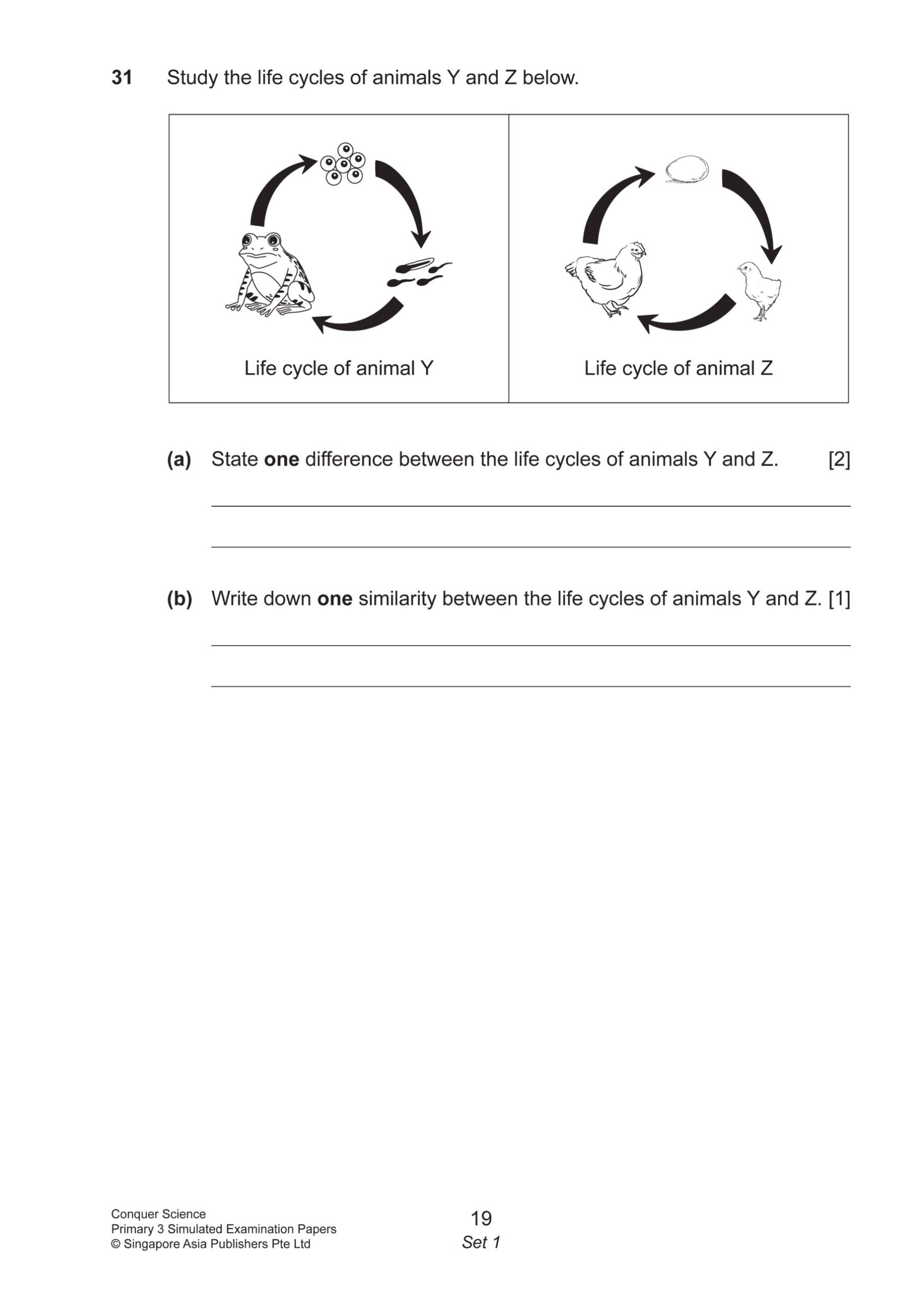 Conquer Science Primary 3 Simulated Examination Papers