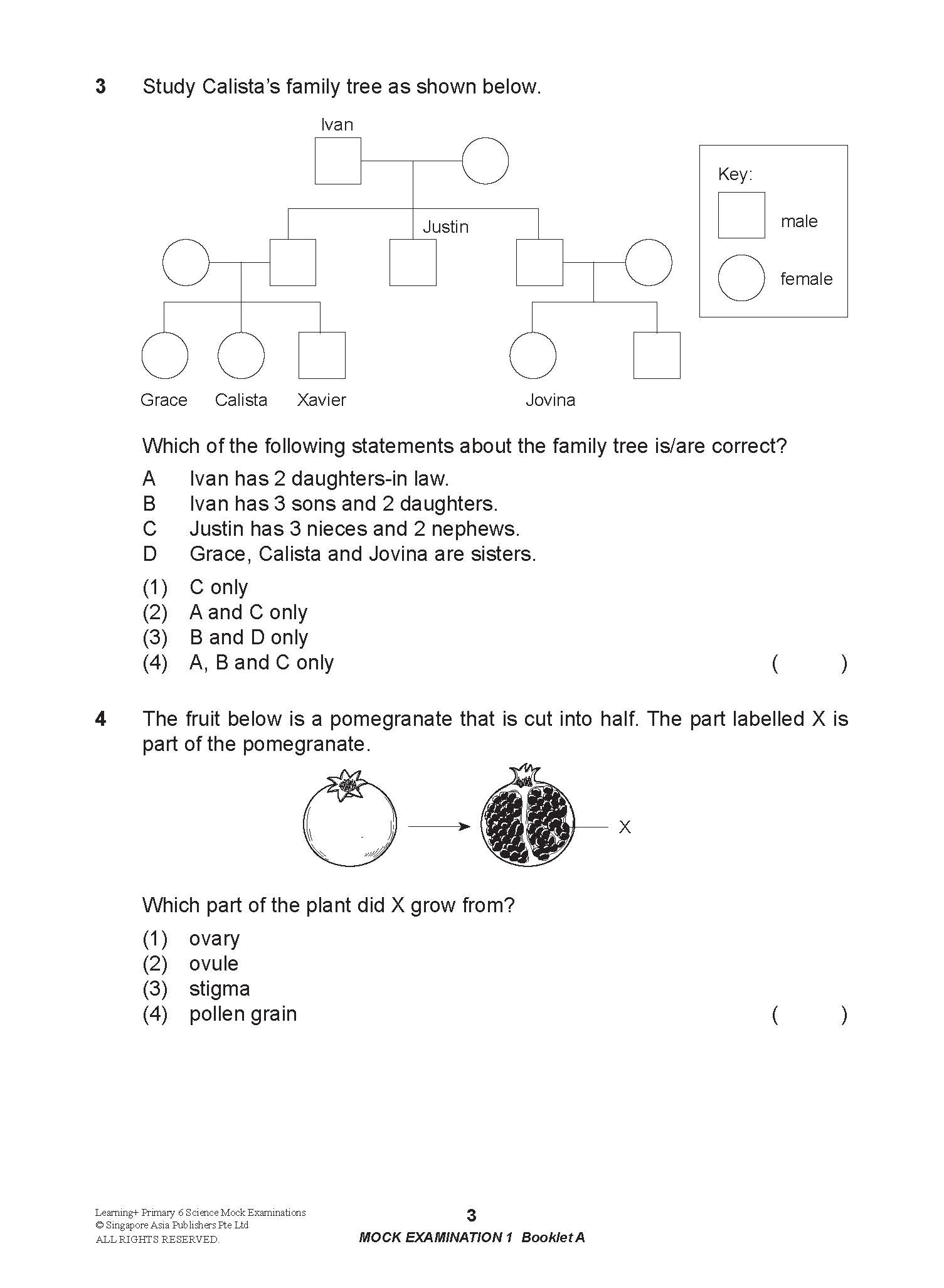 LEARNING+ Primary 6 Science Mock Examinations