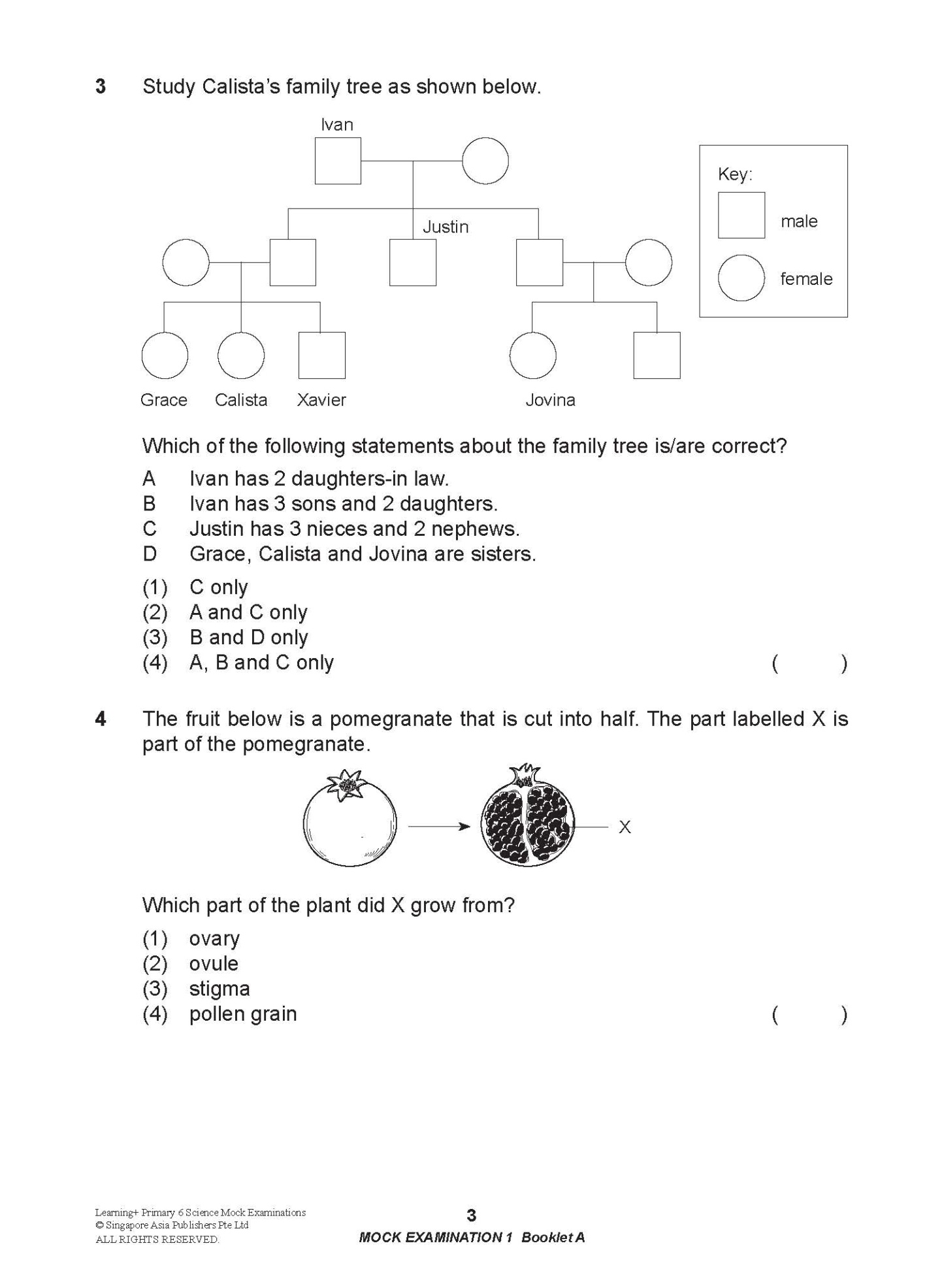 LEARNING+ Primary 6 Science Mock Examinations