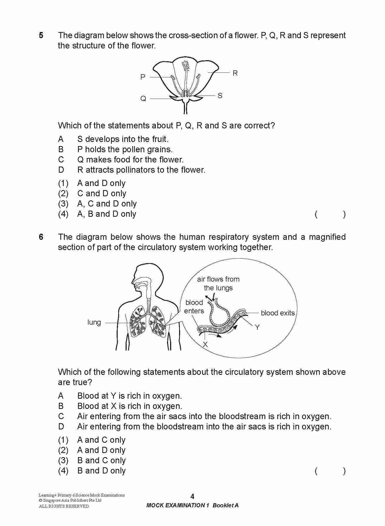 LEARNING+ Primary 6 Science Mock Examinations