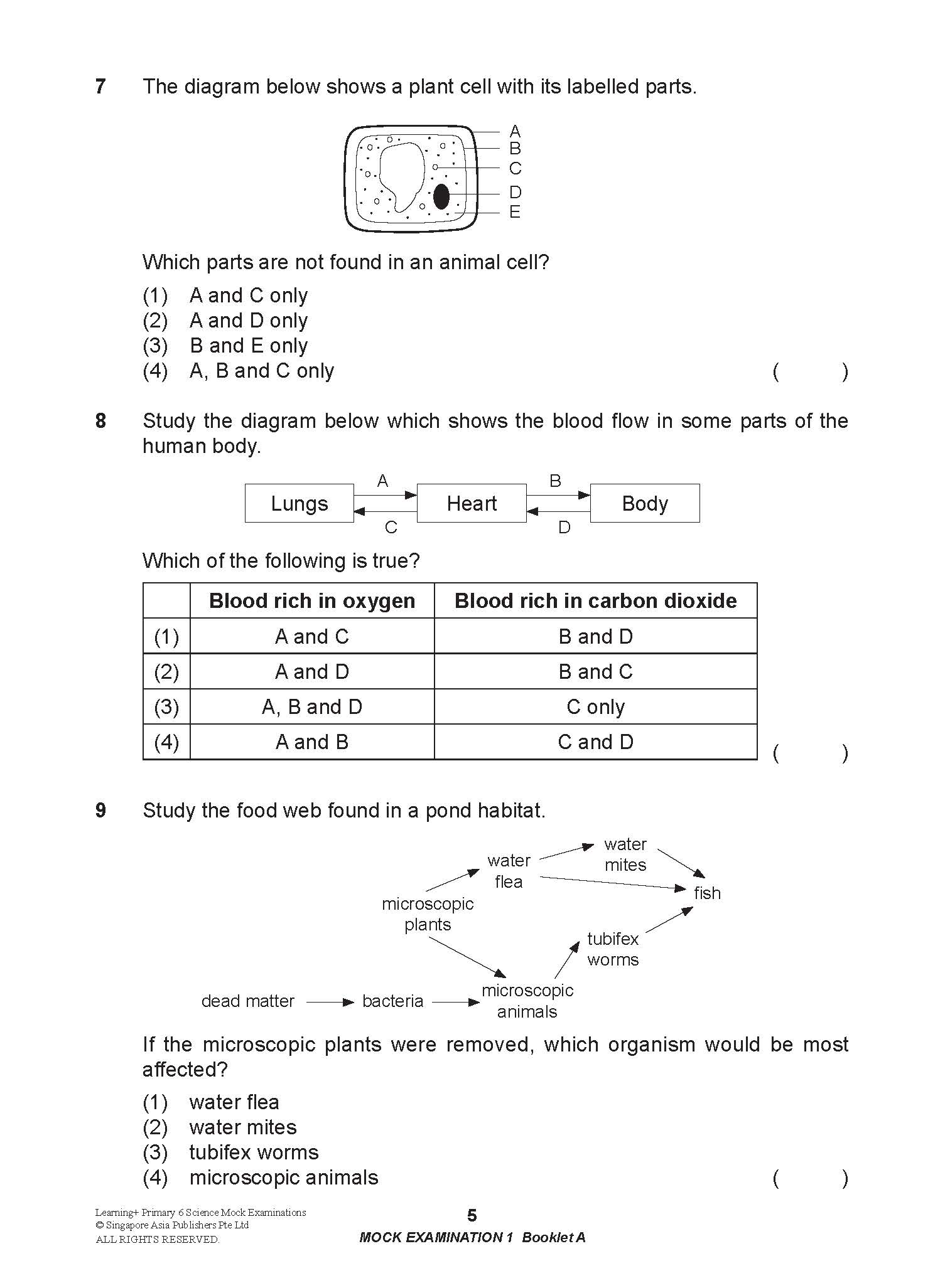 LEARNING+ Primary 6 Science Mock Examinations