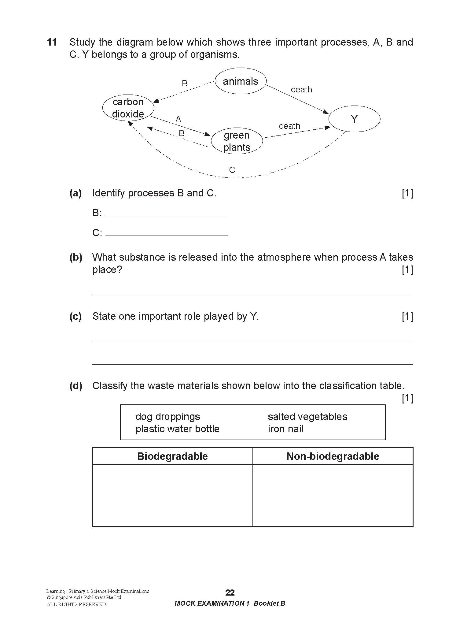 LEARNING+ Primary 6 Science Mock Examinations